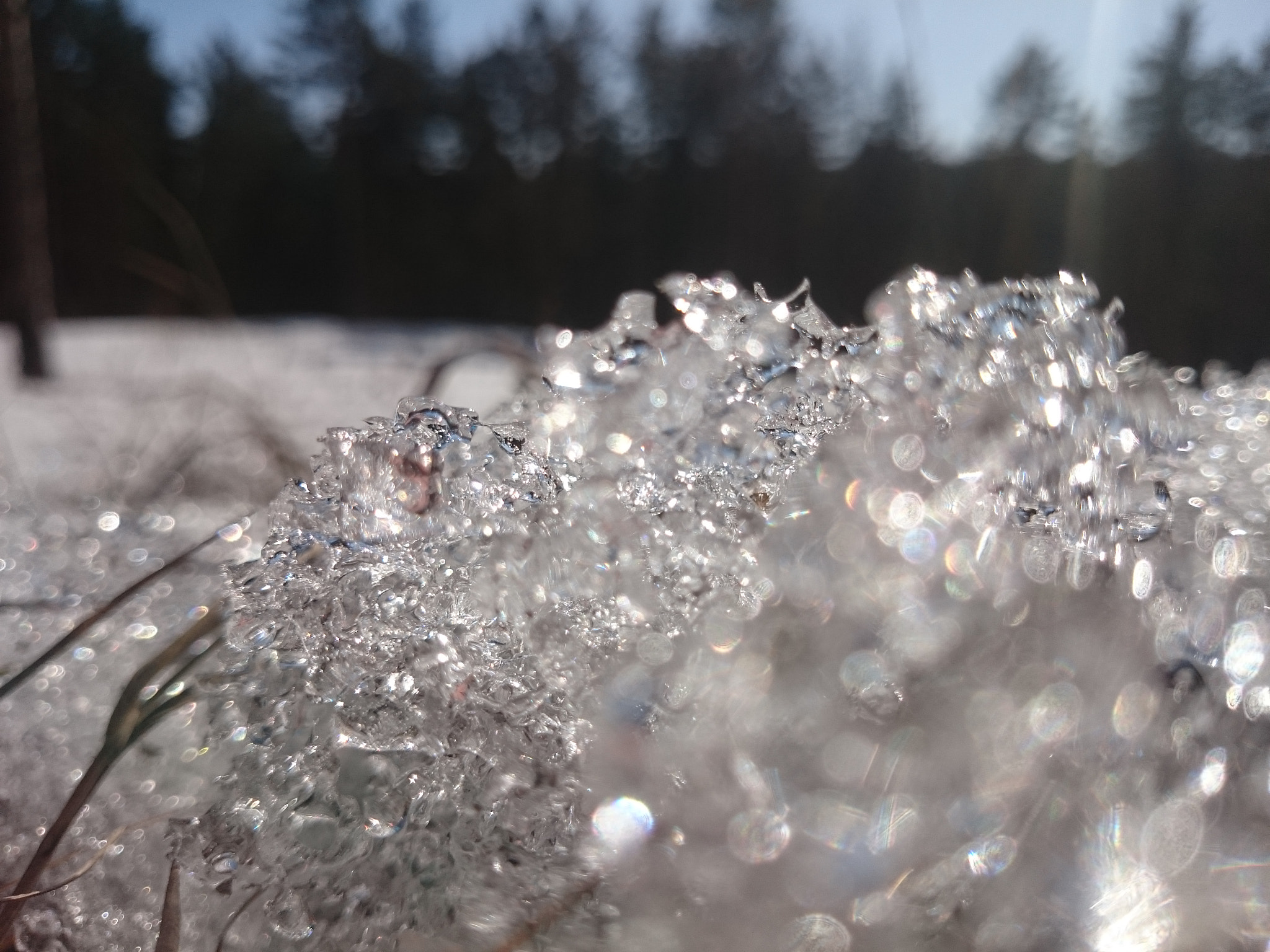 Sony Xperia Z1 Compact sample photo