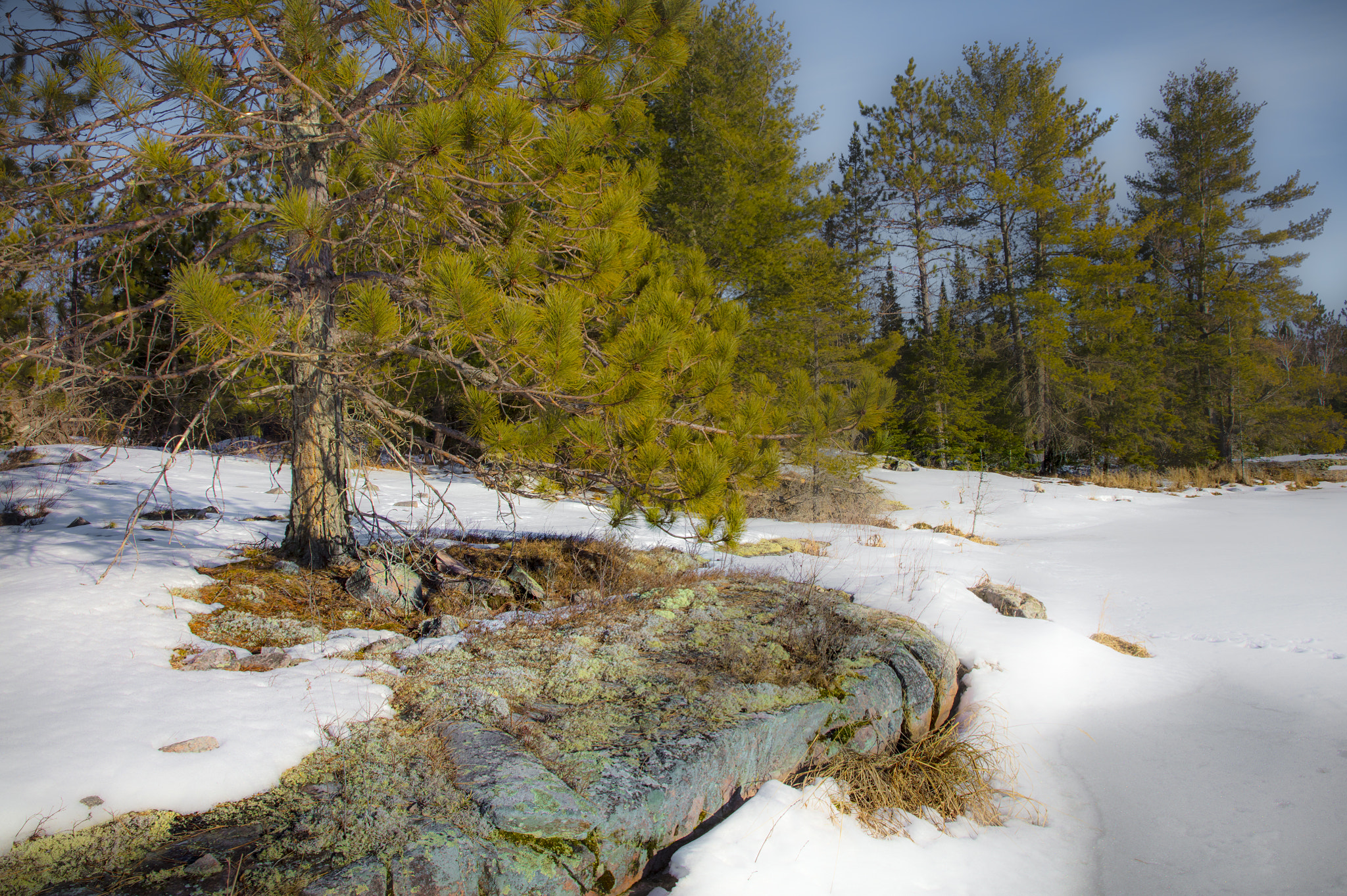 Canon EOS 5DS sample photo. Almost spring at the pond photography
