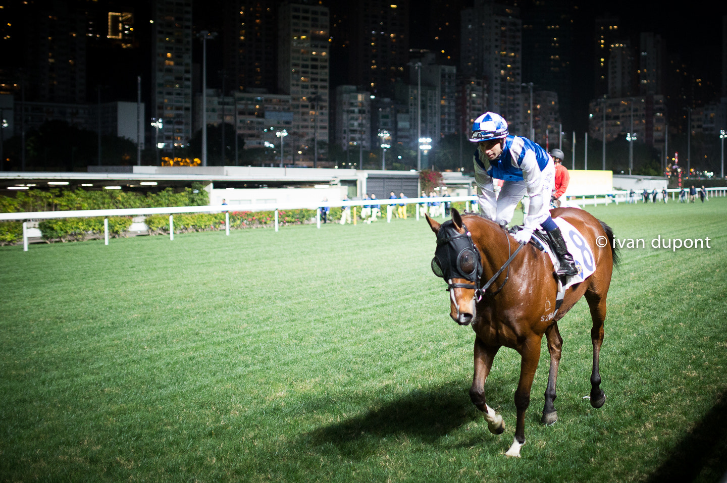 How to be an happy horse in Happy Valley, Causeway Bay, Hong Kong, SAR of China