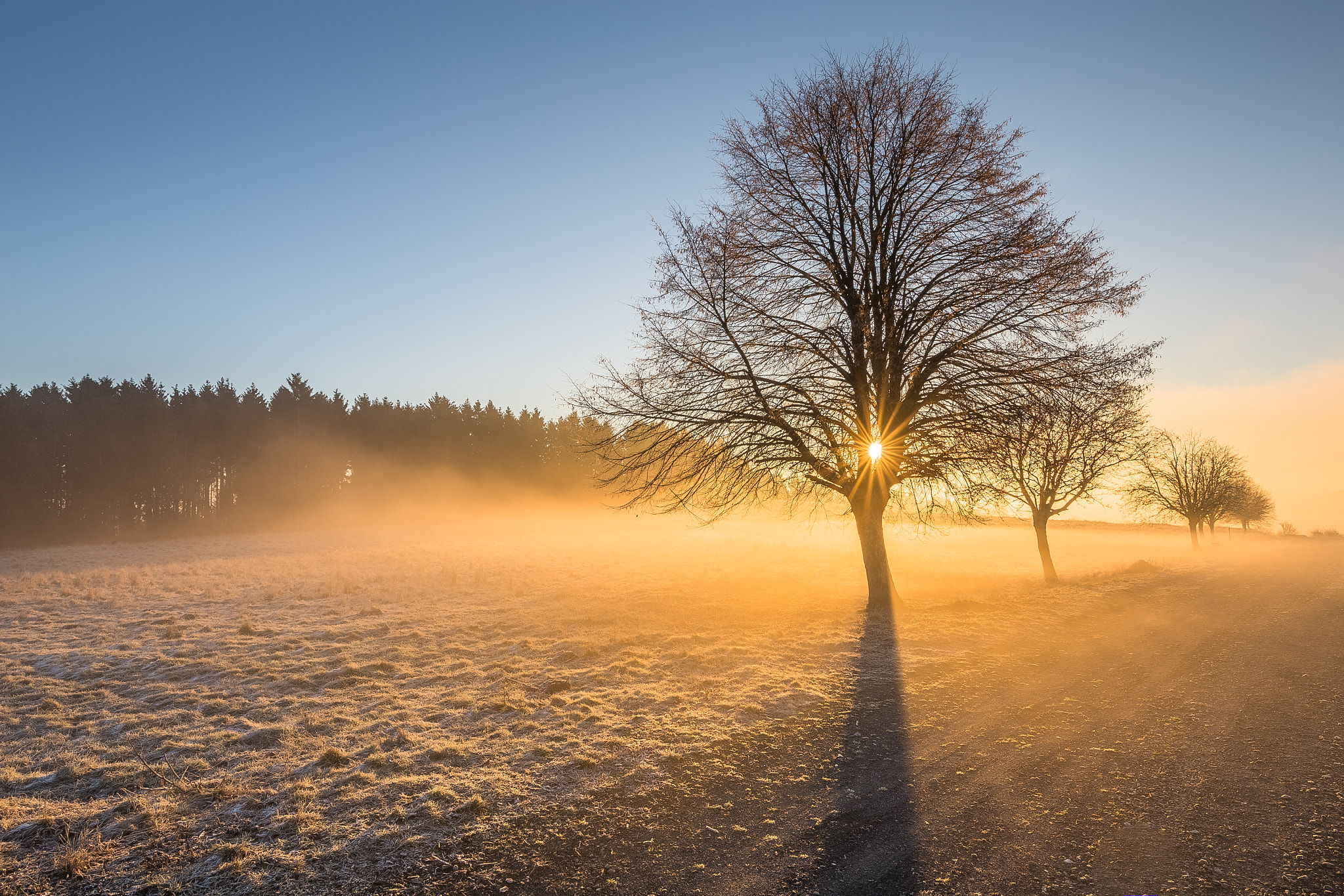 Canon EOS 6D + Canon EF 300mm f/2.8L sample photo. Morning mood photography