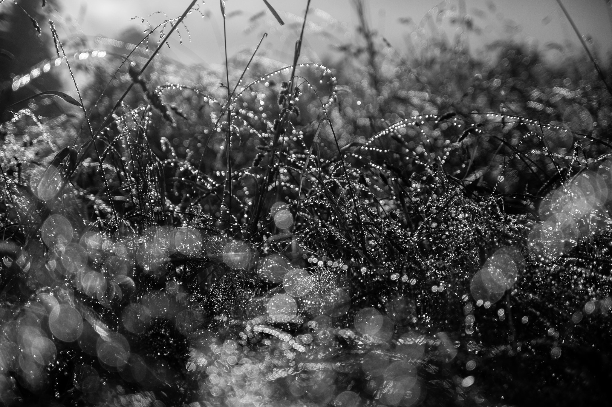 Tamron SP AF 17-50mm F2.8 XR Di II LD Aspherical (IF) sample photo. Poland is beauty photography