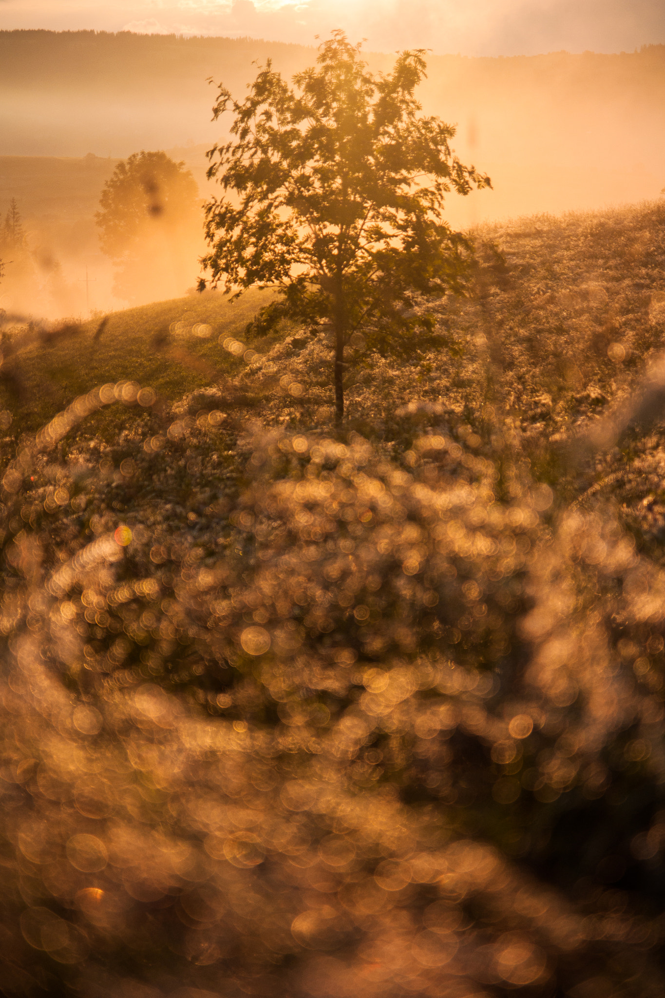 Tamron SP AF 17-50mm F2.8 XR Di II LD Aspherical (IF) sample photo. Poland is beauty photography