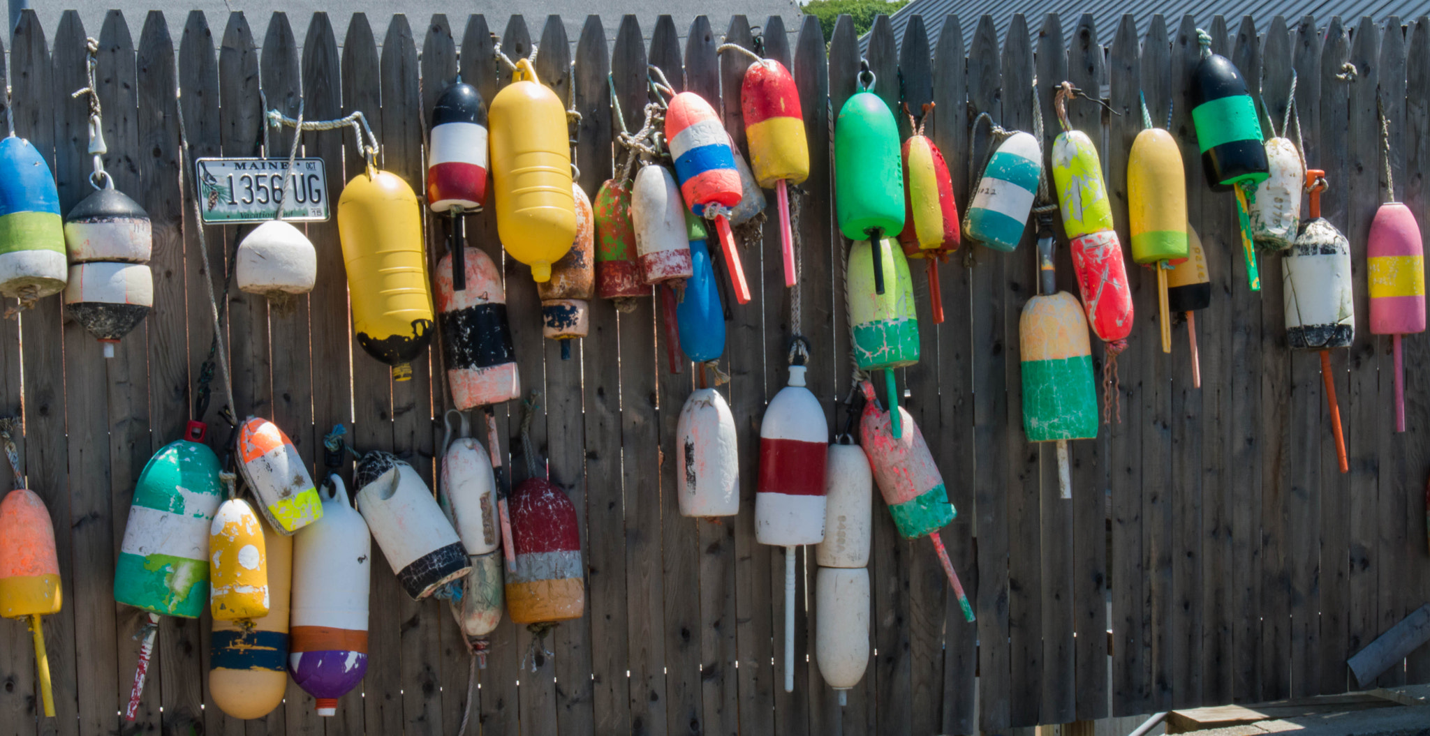 Nikon D3200 sample photo. Lobster bouys photography