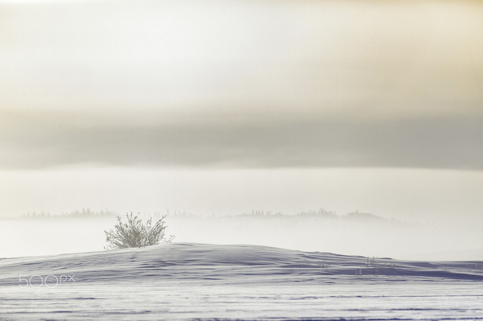 Tamron SP 150-600mm F5-6.3 Di VC USD sample photo. Foggy island photography