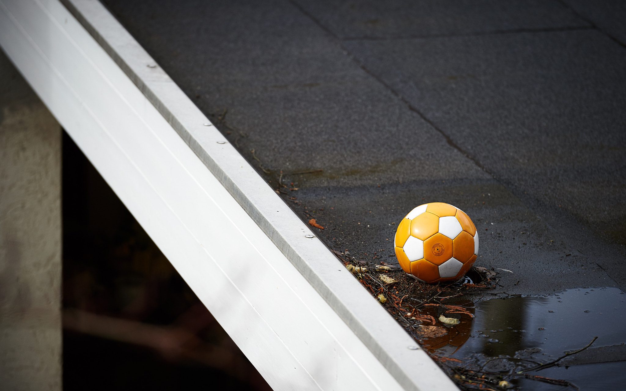 Nikon D4S sample photo. Lonely ball on top of the roof photography