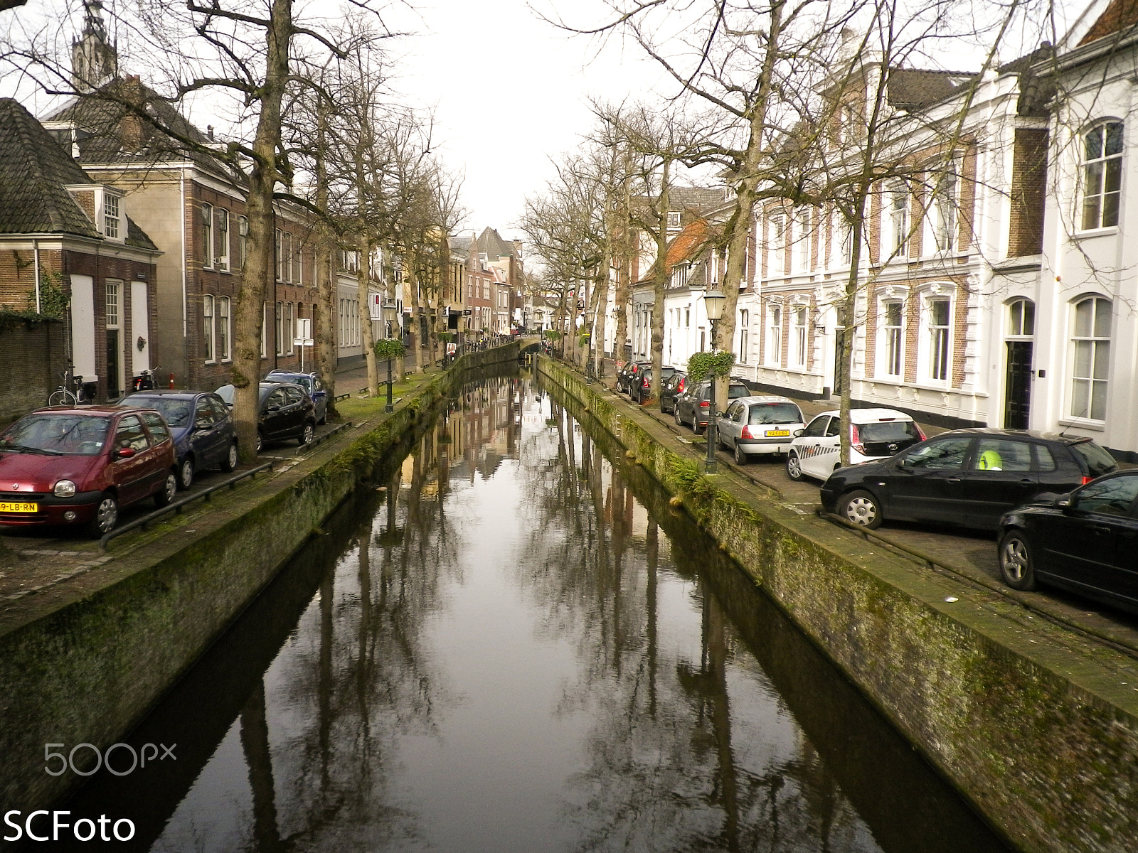 Pentax Optio I-10 sample photo. Early spring in the netherlands photography