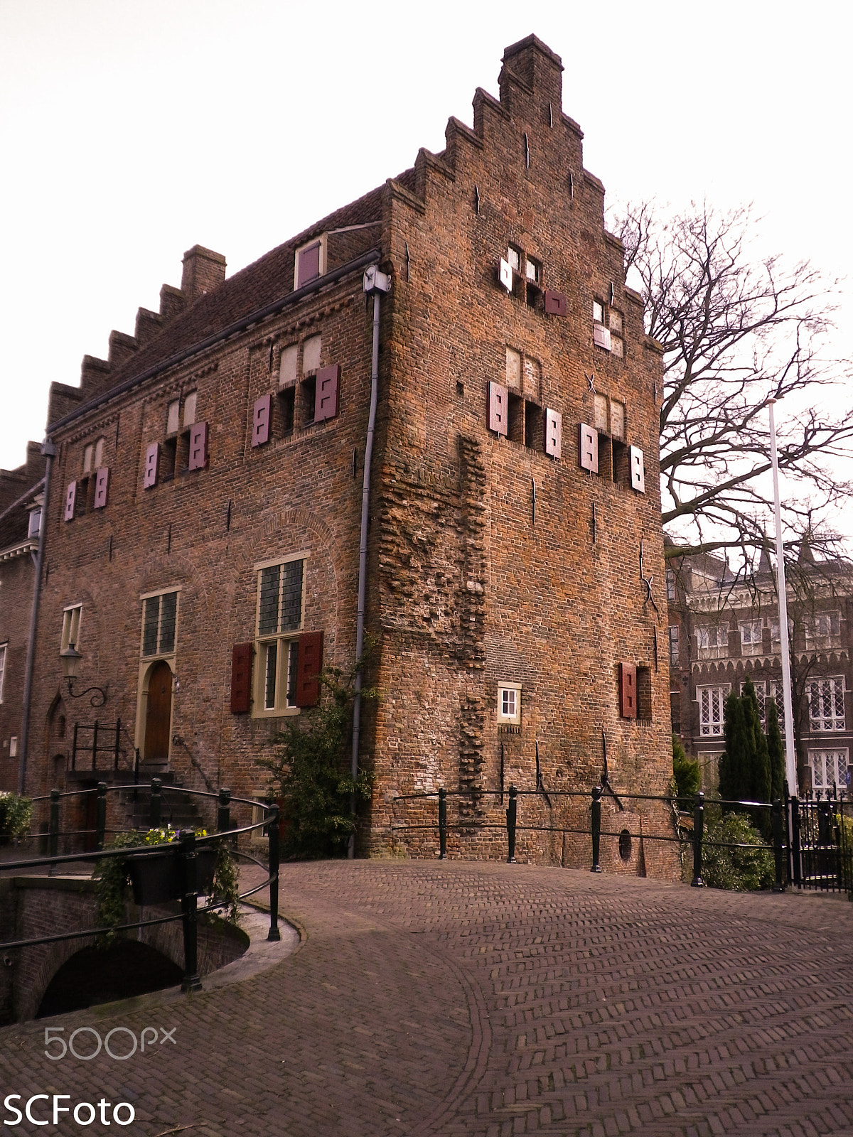 Pentax Optio I-10 sample photo. Early spring in the netherlands photography