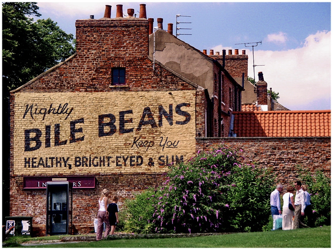 KONICA MINOLTA DiMAGE 7Hi sample photo. Bile beans make you healthy photography
