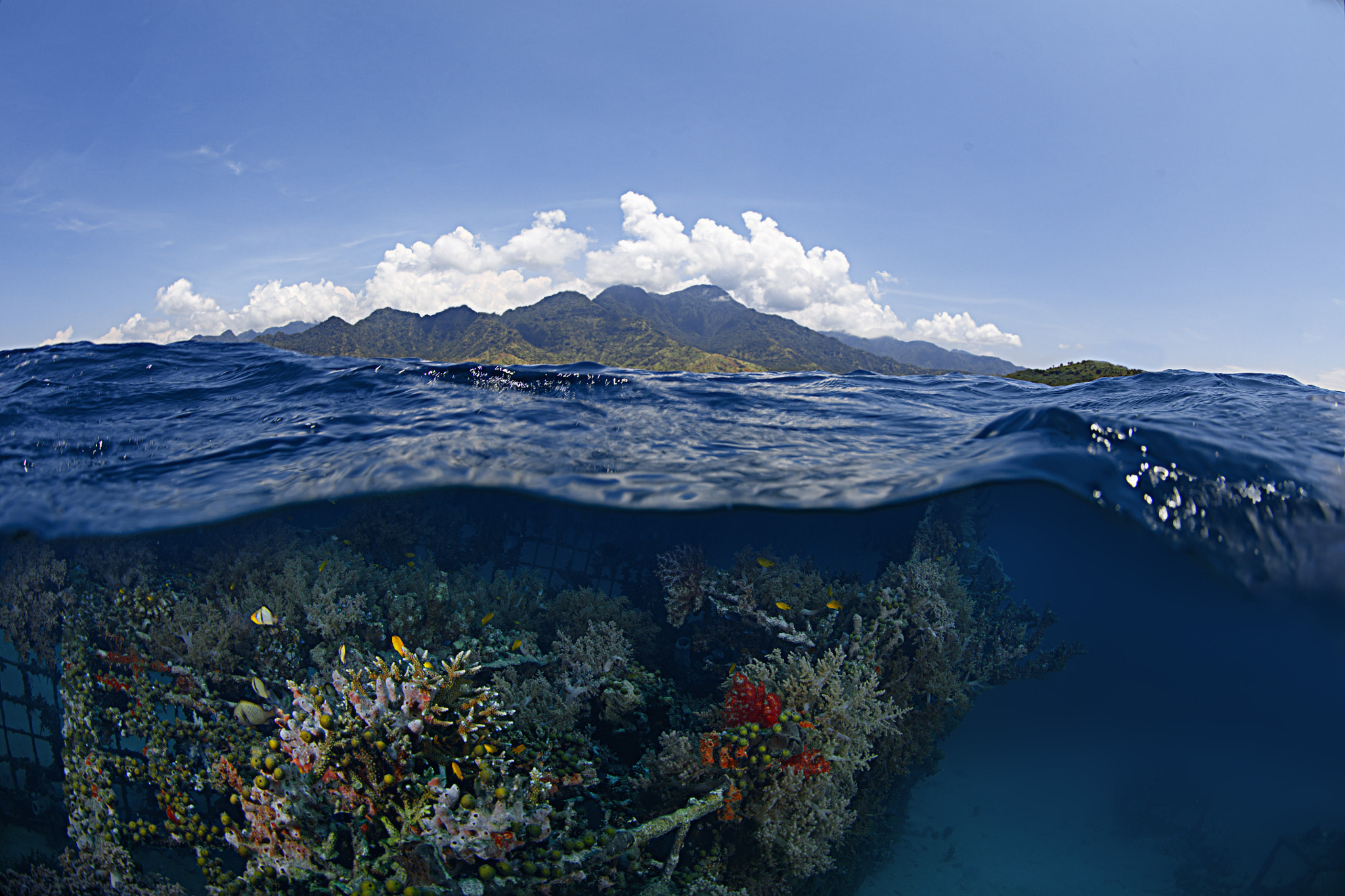 Canon EOS 5DS R + Canon EF 8-15mm F4L Fisheye USM sample photo. Pemuteran bali photography