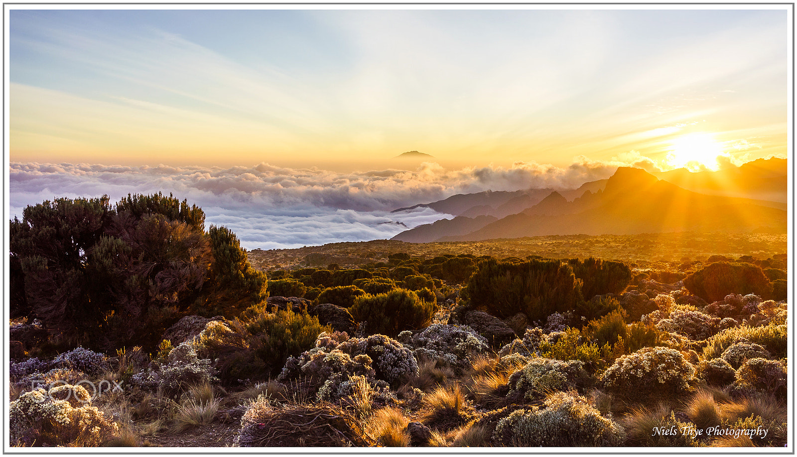 Sony a7R sample photo. On the way to the summit of kilimanjaro. photography