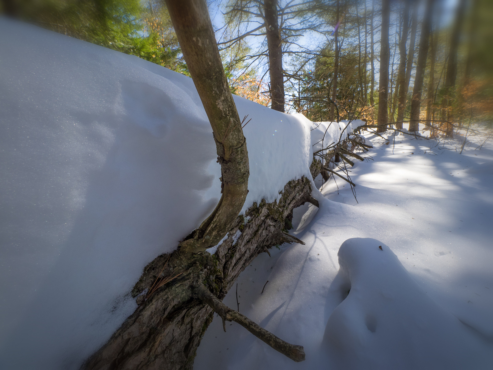 Olympus OM-D E-M1 + Olympus M.Zuiko Digital ED 7-14mm F2.8 PRO sample photo. Breaking the trail photography