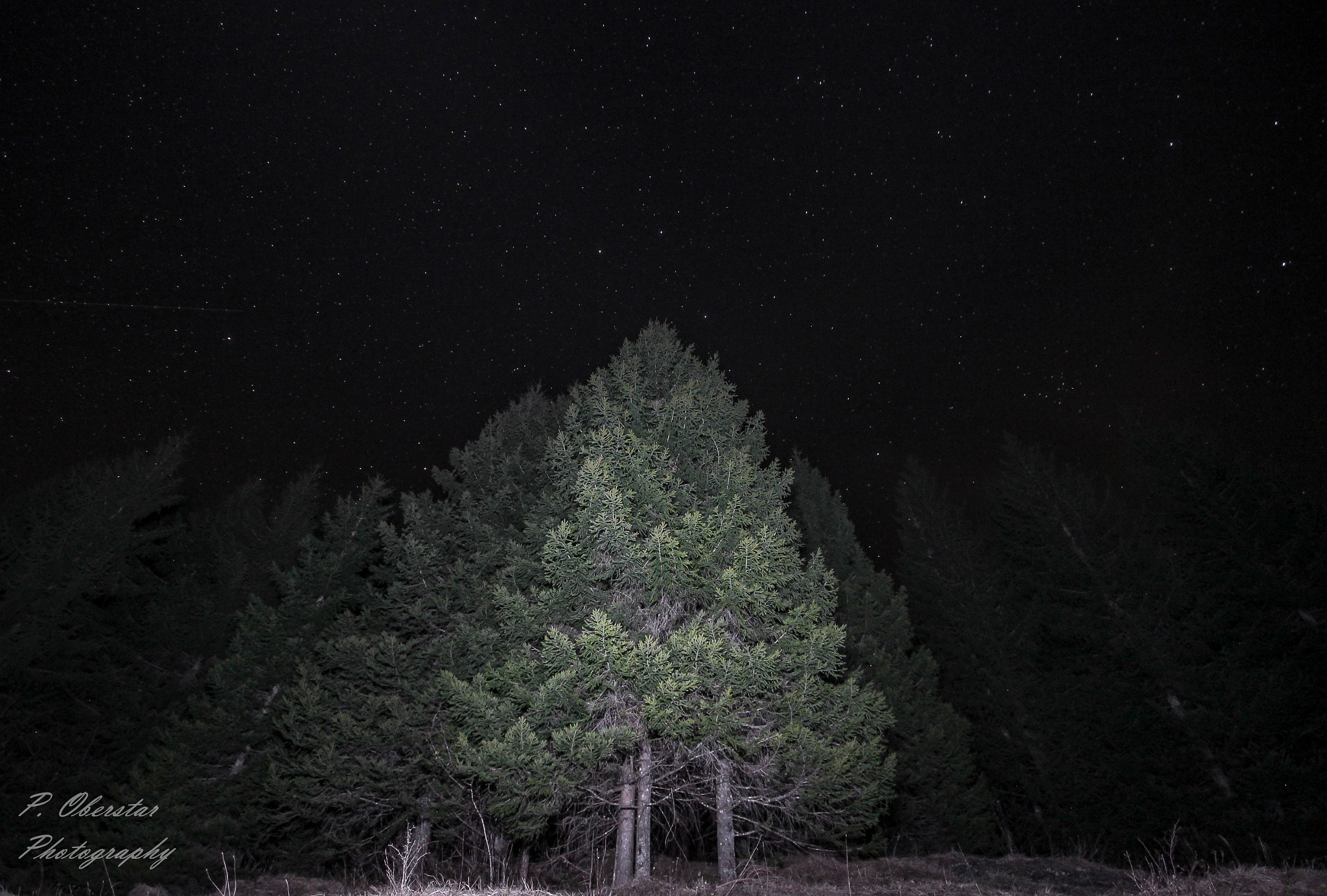 Sigma 10-20mm F4-5.6 EX DC HSM sample photo. Under the stars. photography