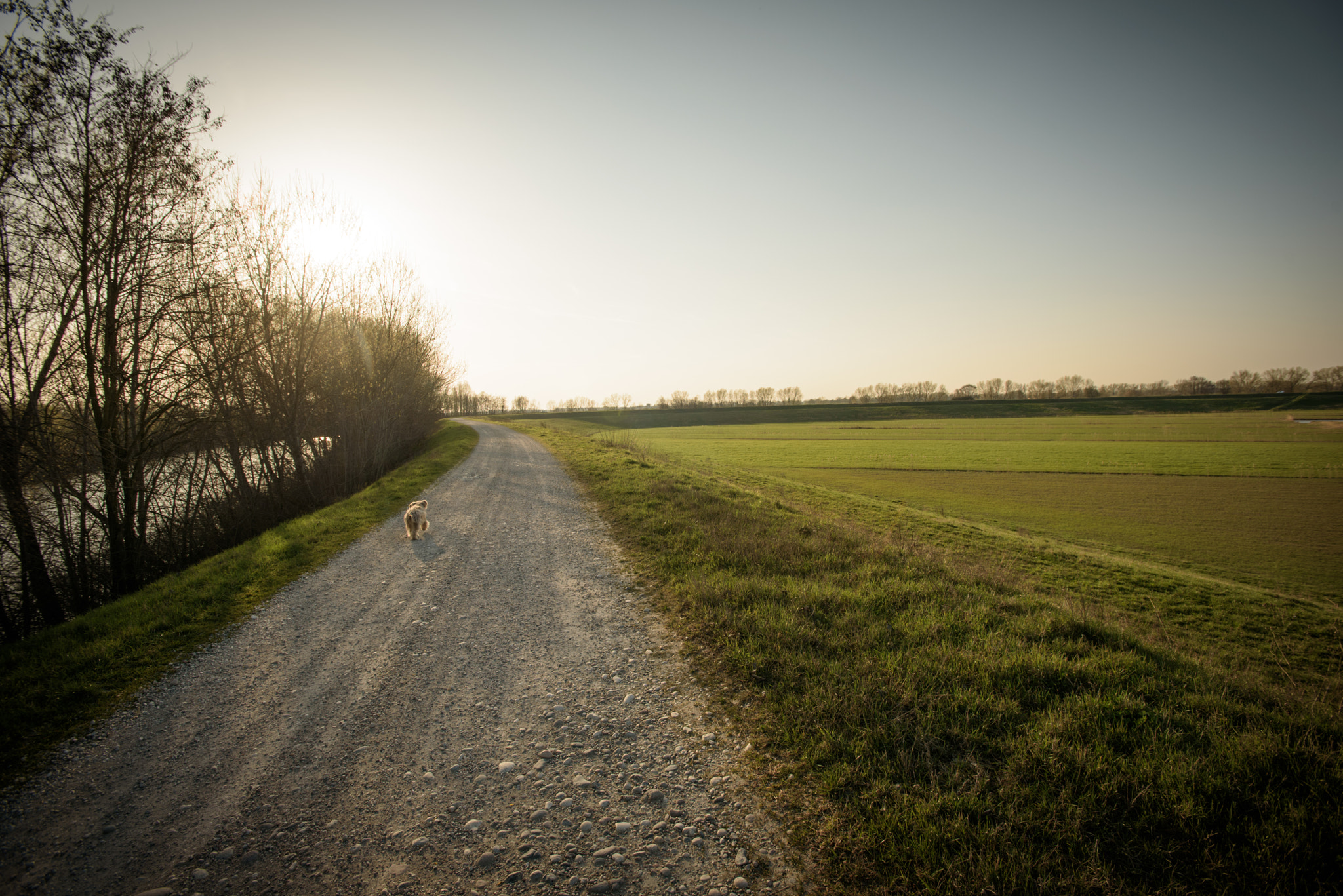 Nikon AF-S Nikkor 17-35mm F2.8D ED-IF sample photo. Untitled photography