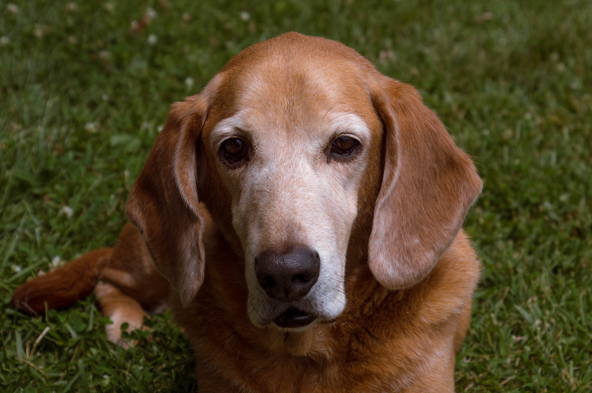 Nikon D3200 sample photo. Colby jack photography