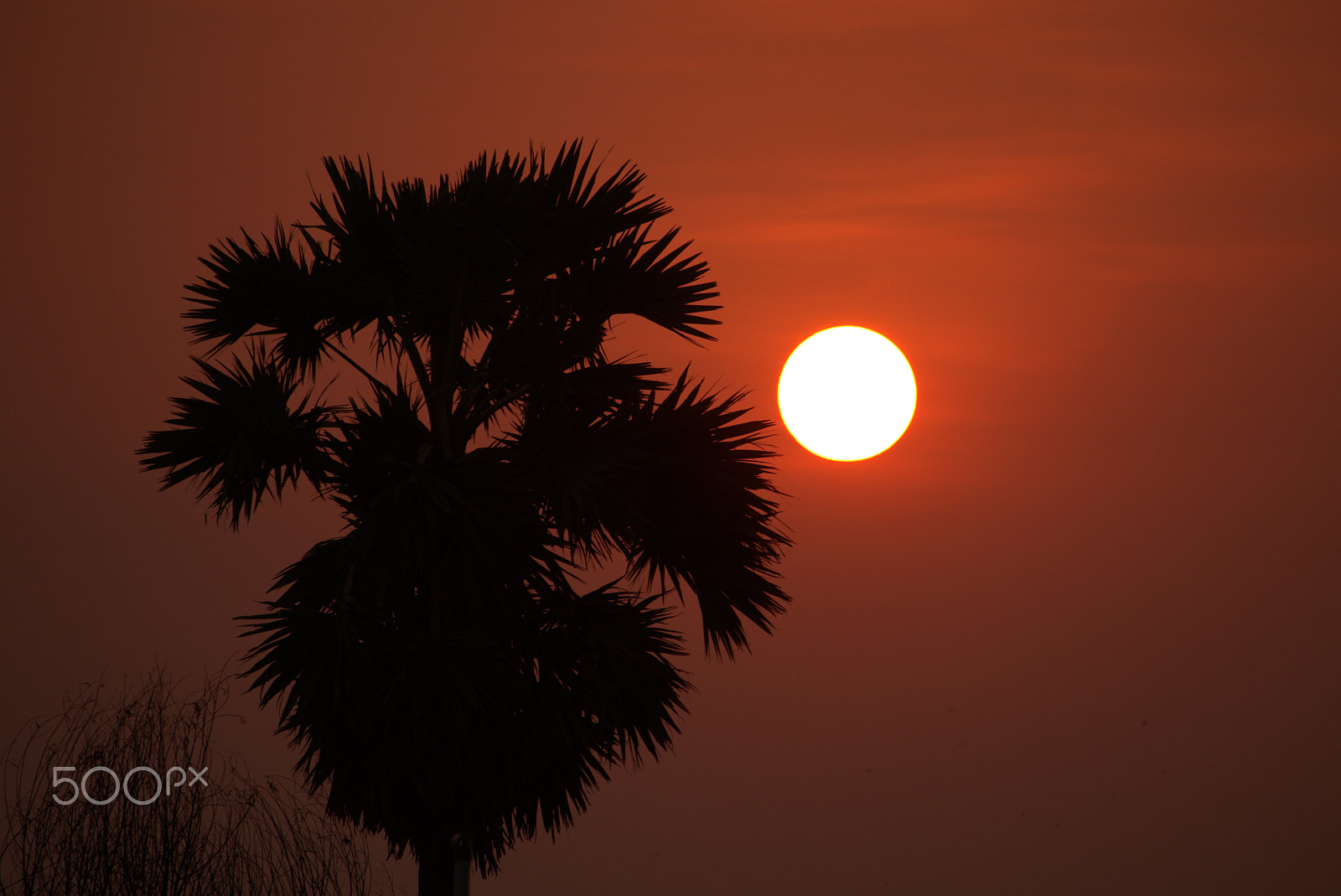 Canon EF-S 55-250mm F4-5.6 IS STM sample photo. Sunset photography