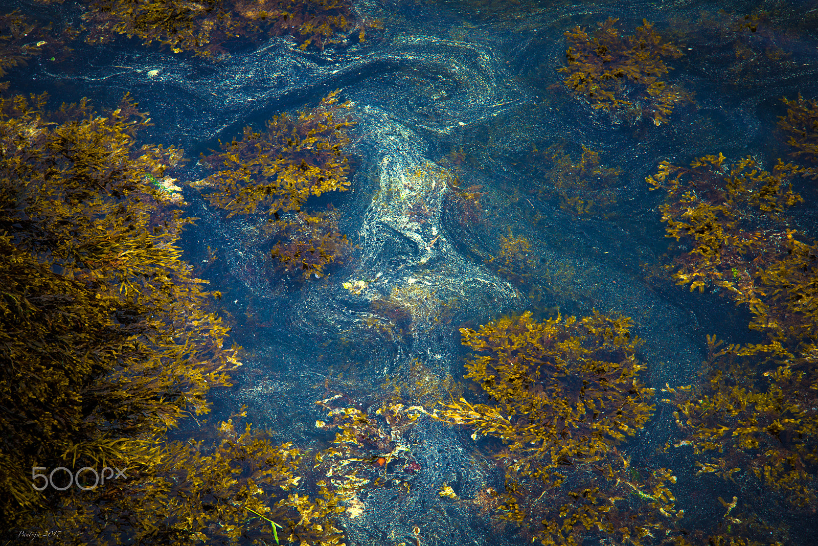 Nikon D600 sample photo. Water photography