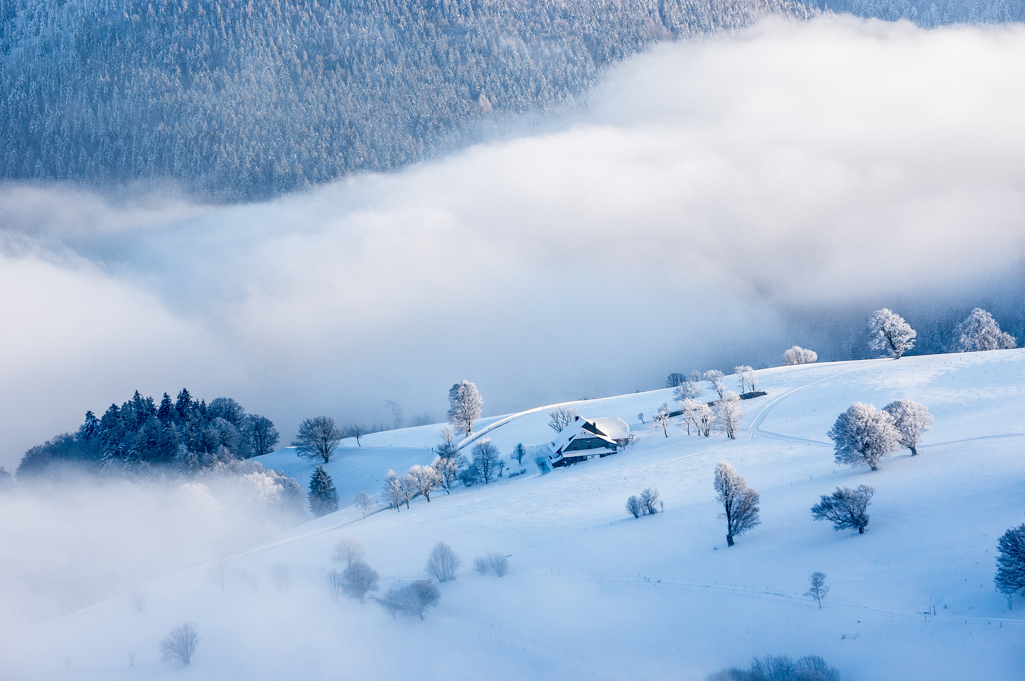 Sony Alpha NEX-6 sample photo. Berg und nebel photography