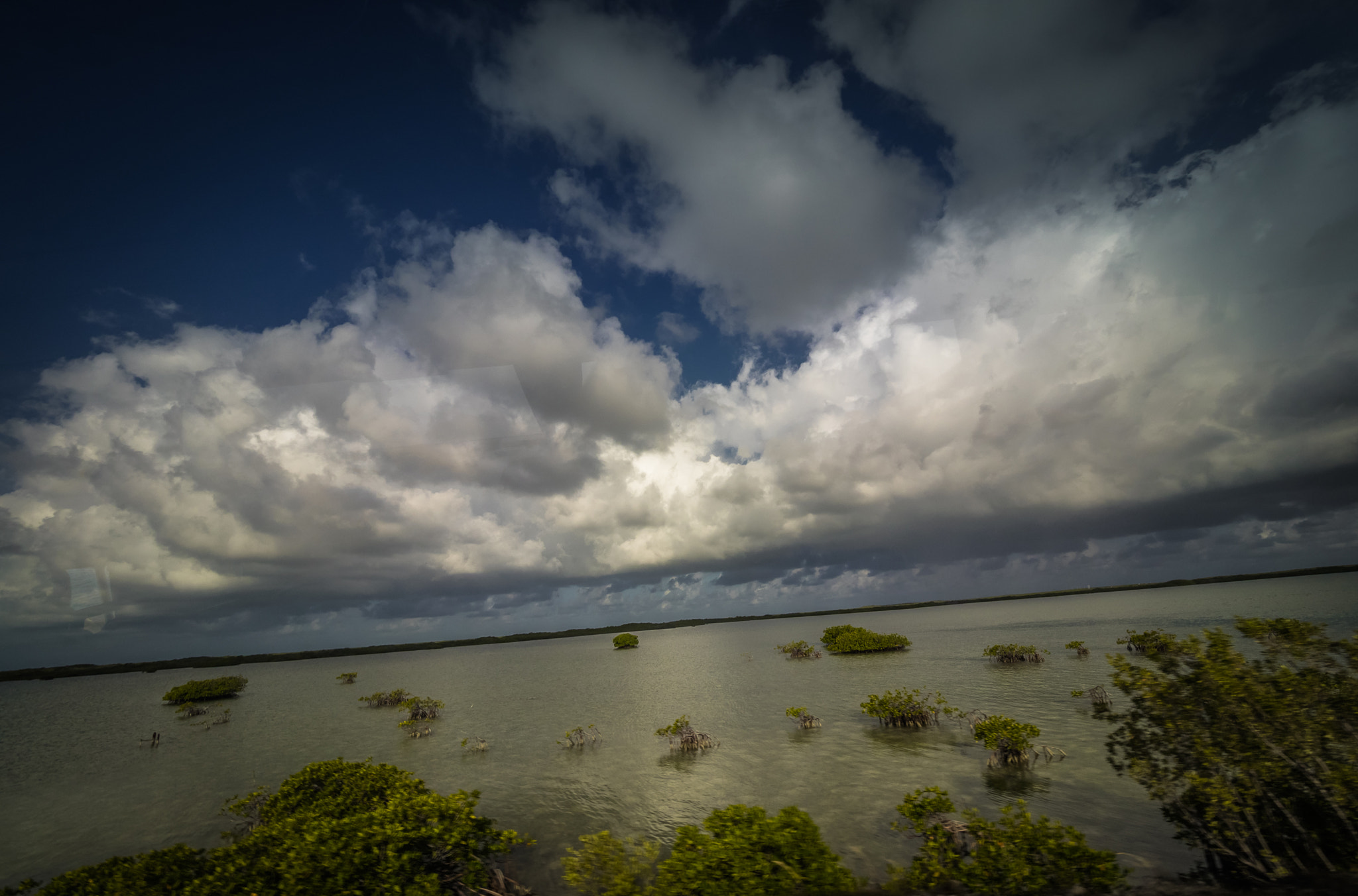 Olympus OM-D E-M1 + Olympus M.Zuiko Digital ED 7-14mm F2.8 PRO sample photo. Cuba mangroves photography