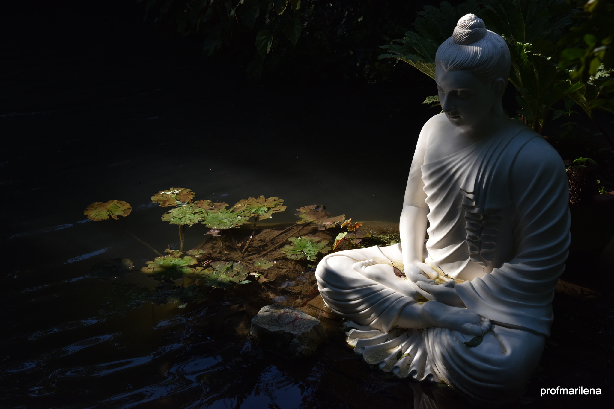 Nikon AF Nikkor 24-85mm F2.8-4D IF sample photo. Meditation photography