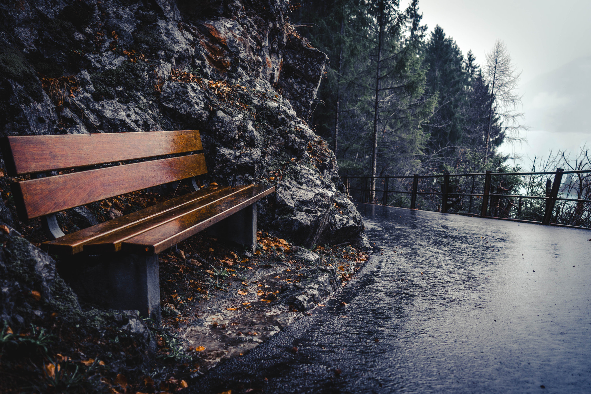 Sony a7 + Sony Vario Tessar T* FE 24-70mm F4 ZA OSS sample photo. Awaiting spring photography