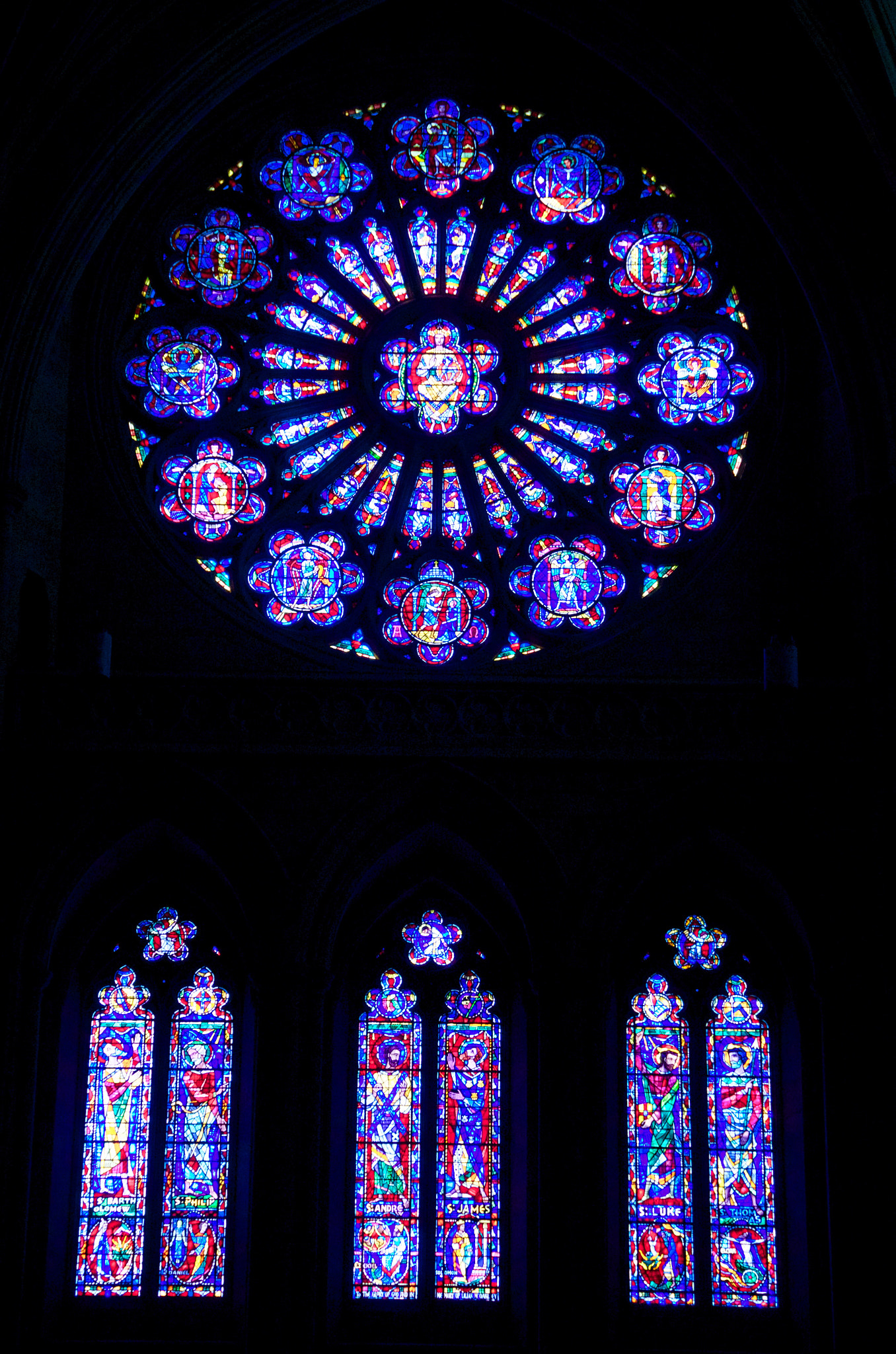 Tamron AF 28-105mm F4-5.6 [IF] sample photo. Rose window photography