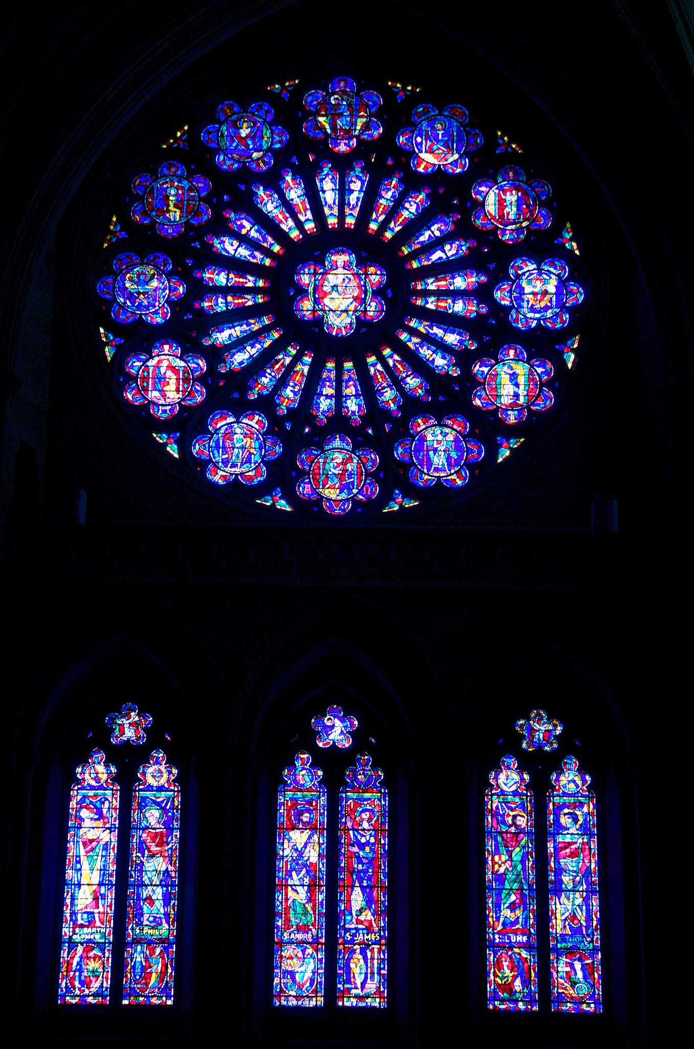 Sony SLT-A77 sample photo. Rose window photography