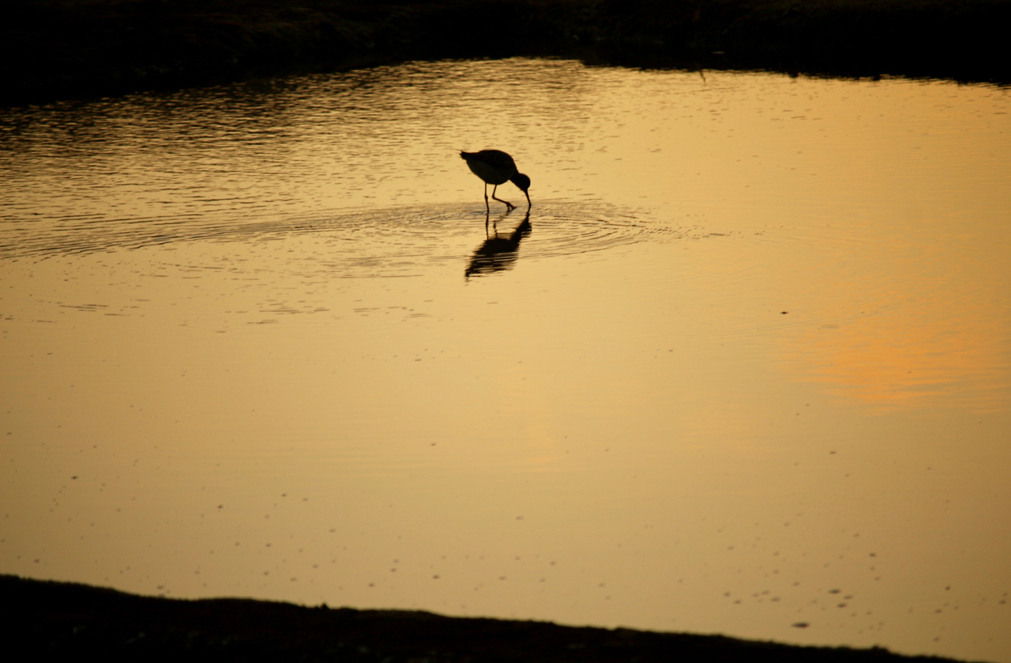 Canon EF-S 55-250mm F4-5.6 IS STM sample photo. Cahuil, chile photography