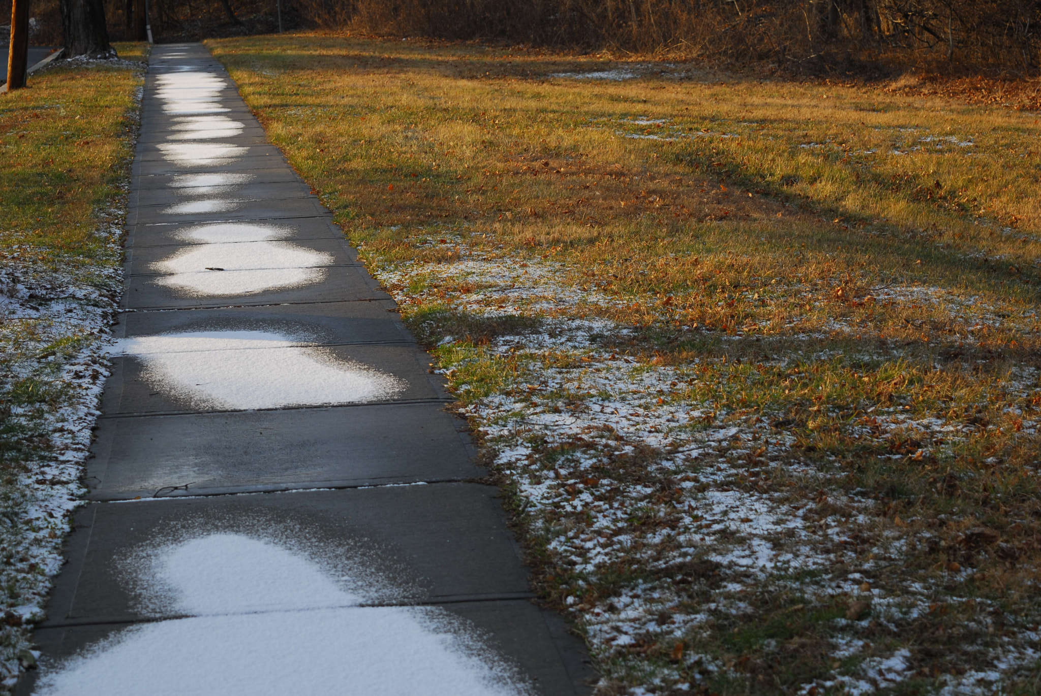 Nikon D200 sample photo. Sidewalk photography