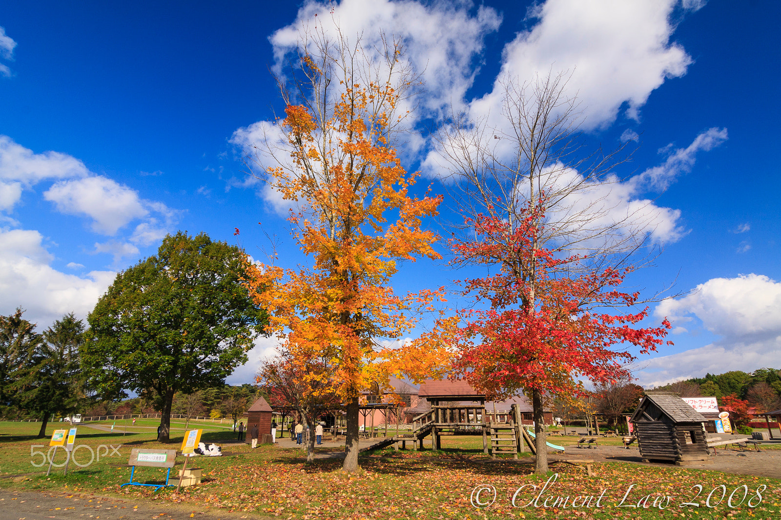 Tokina AT-X Pro 12-24mm F4 (IF) DX sample photo. Autumn colour, koiwai farm #2. 秋色。小岩井農場 #2 photography