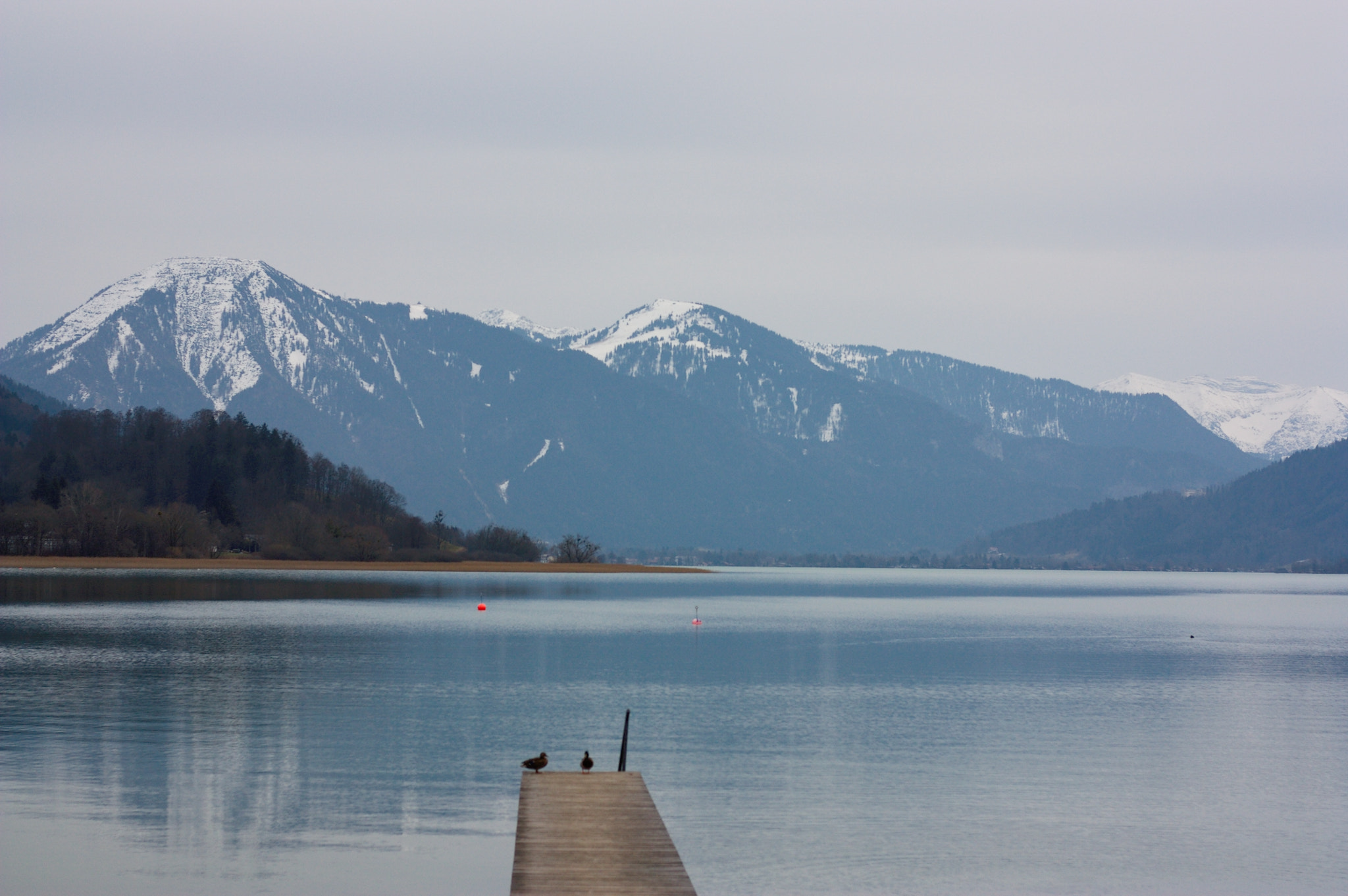 Canon EOS 450D (EOS Rebel XSi / EOS Kiss X2) sample photo. View of the alps over tegernsee lake photography