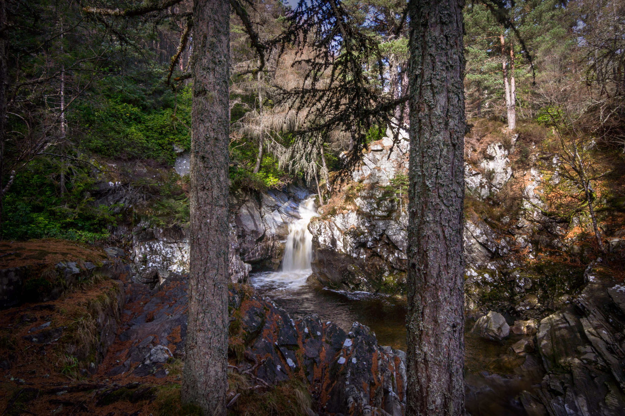 Sony SLT-A65 (SLT-A65V) + 20mm F2.8 sample photo. Falls of bruar 2 photography