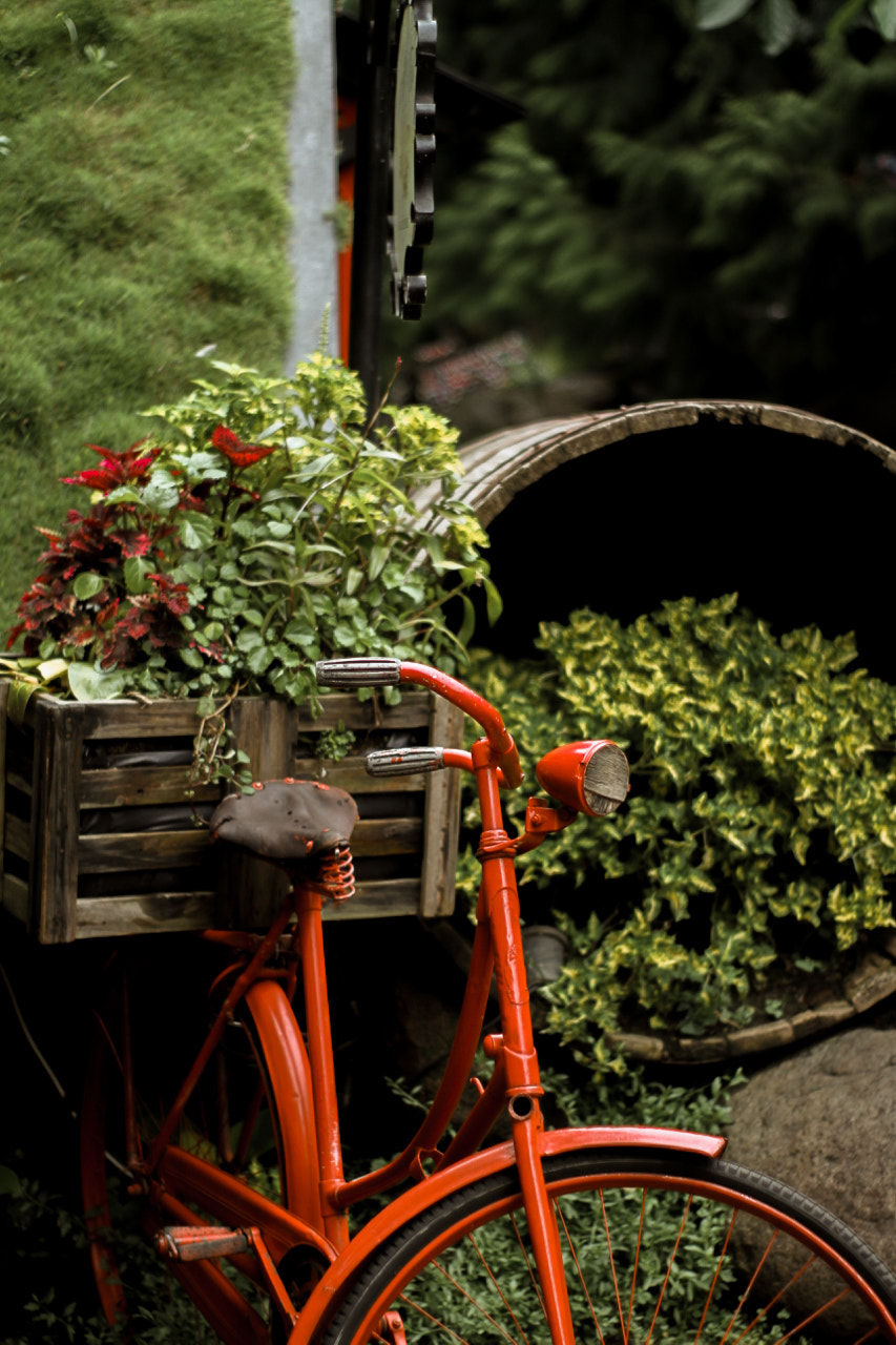 Sigma A 24-105 mm f/4 DG OS HSM sample photo. Vintage bike photography