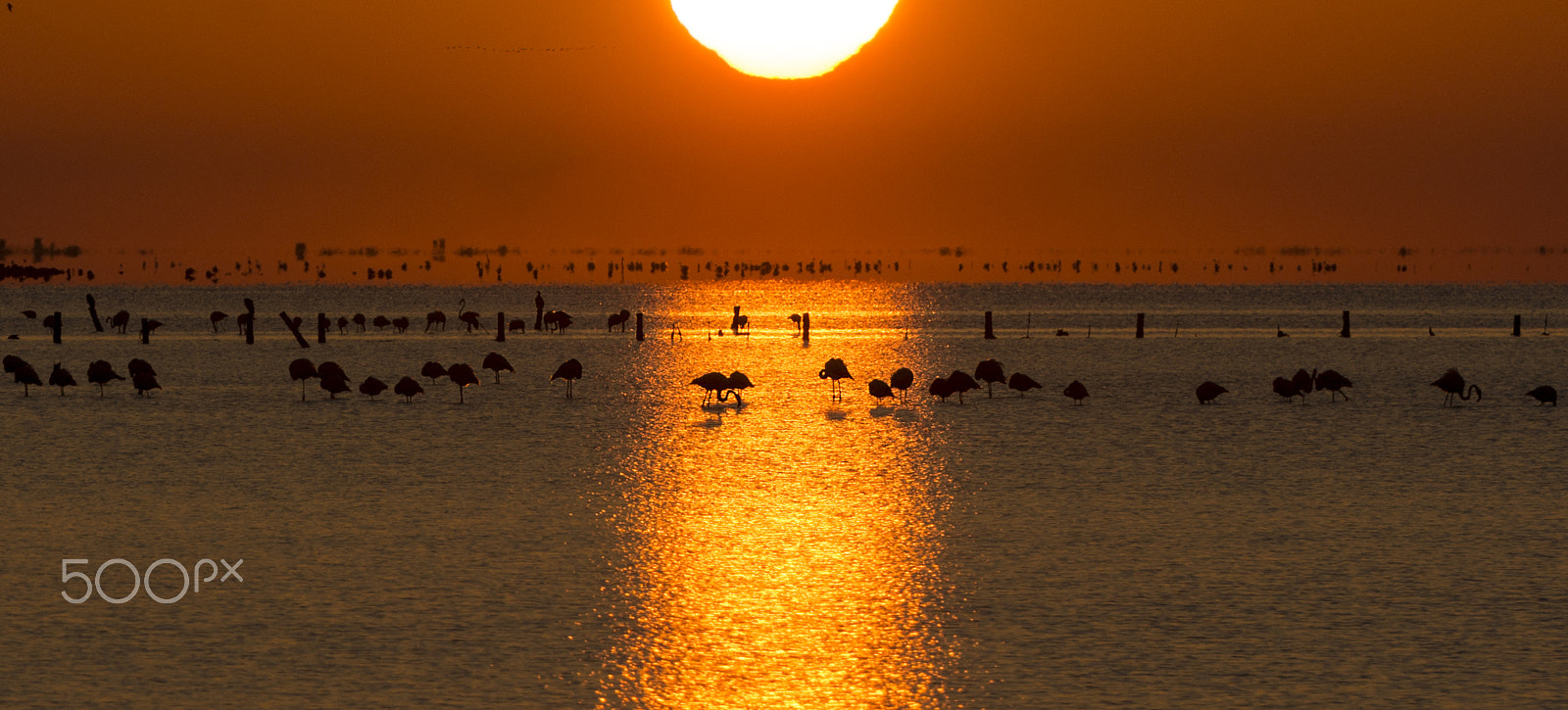 Nikon D7100 sample photo. It dawns in the delta photography