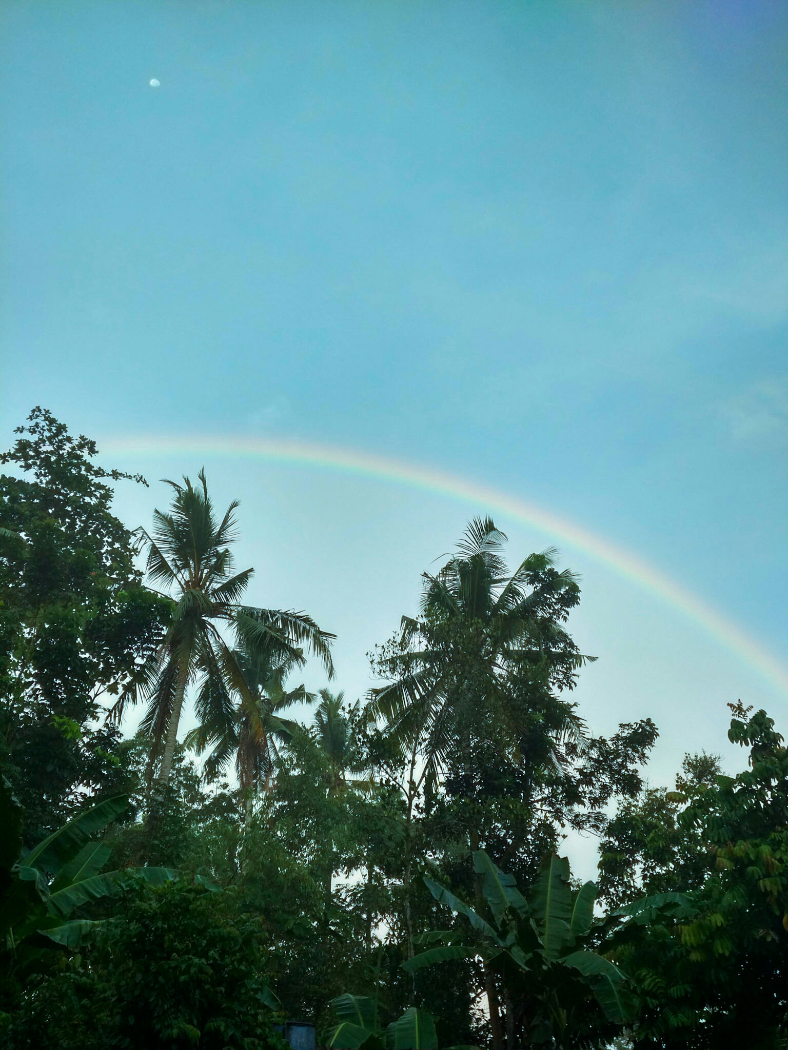 Xiaomi Mi-4c sample photo. Pelangi photography