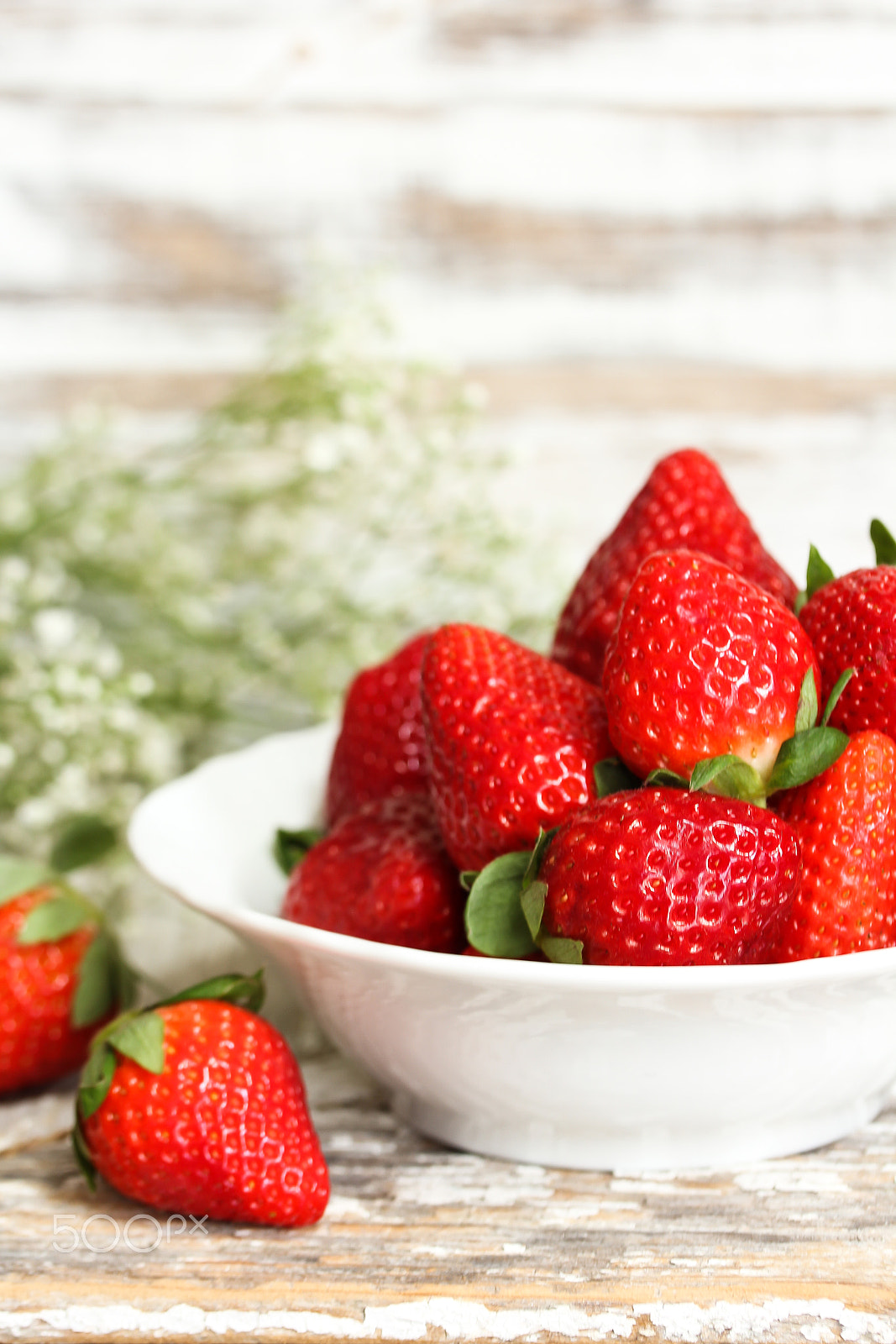 Canon EF-S 60mm F2.8 Macro USM sample photo. Still life strawberries photography