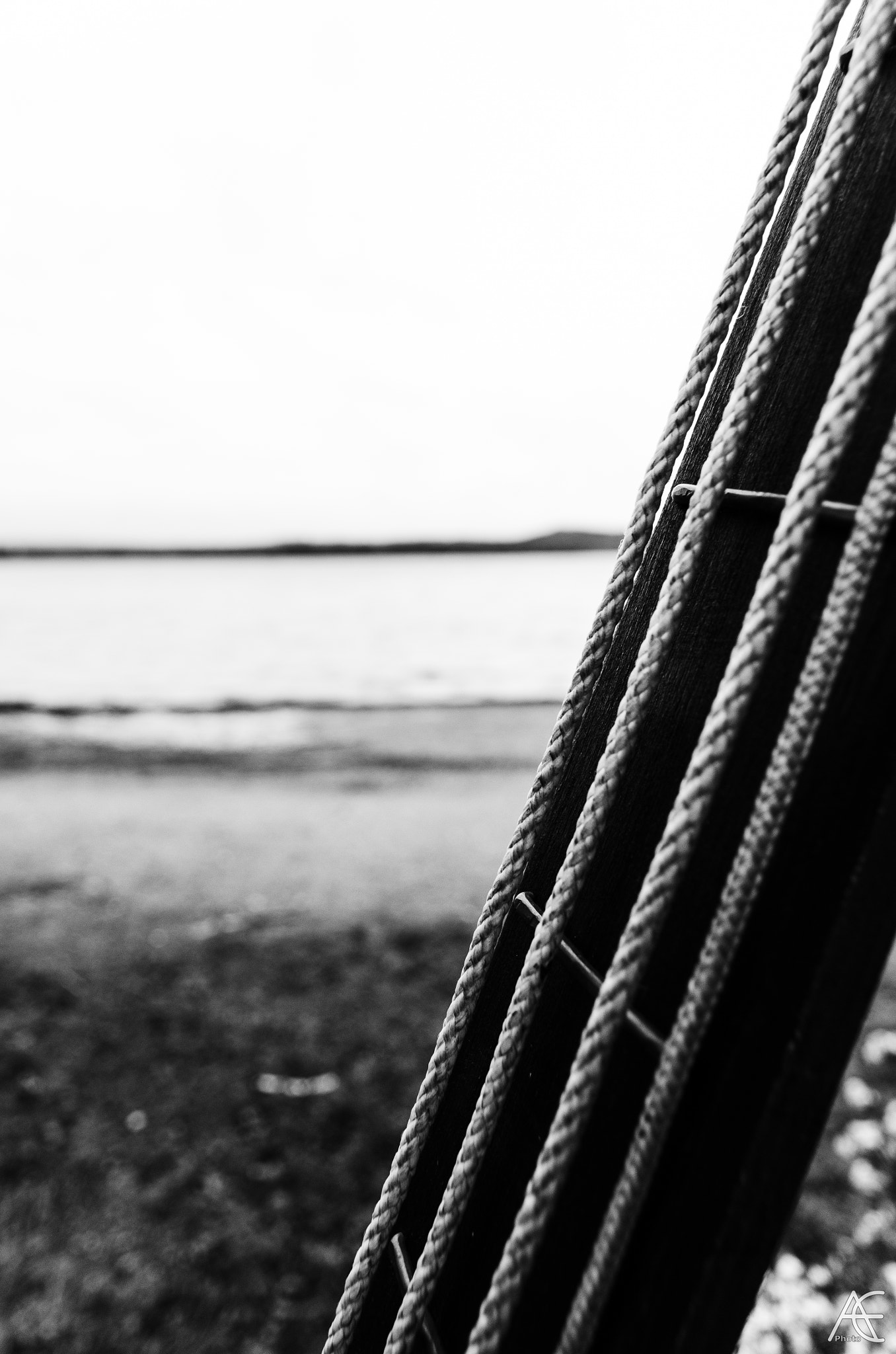 Sigma 17-50mm F2.8 EX DC OS HSM sample photo. Jazz by the lake i - variant 1 photography