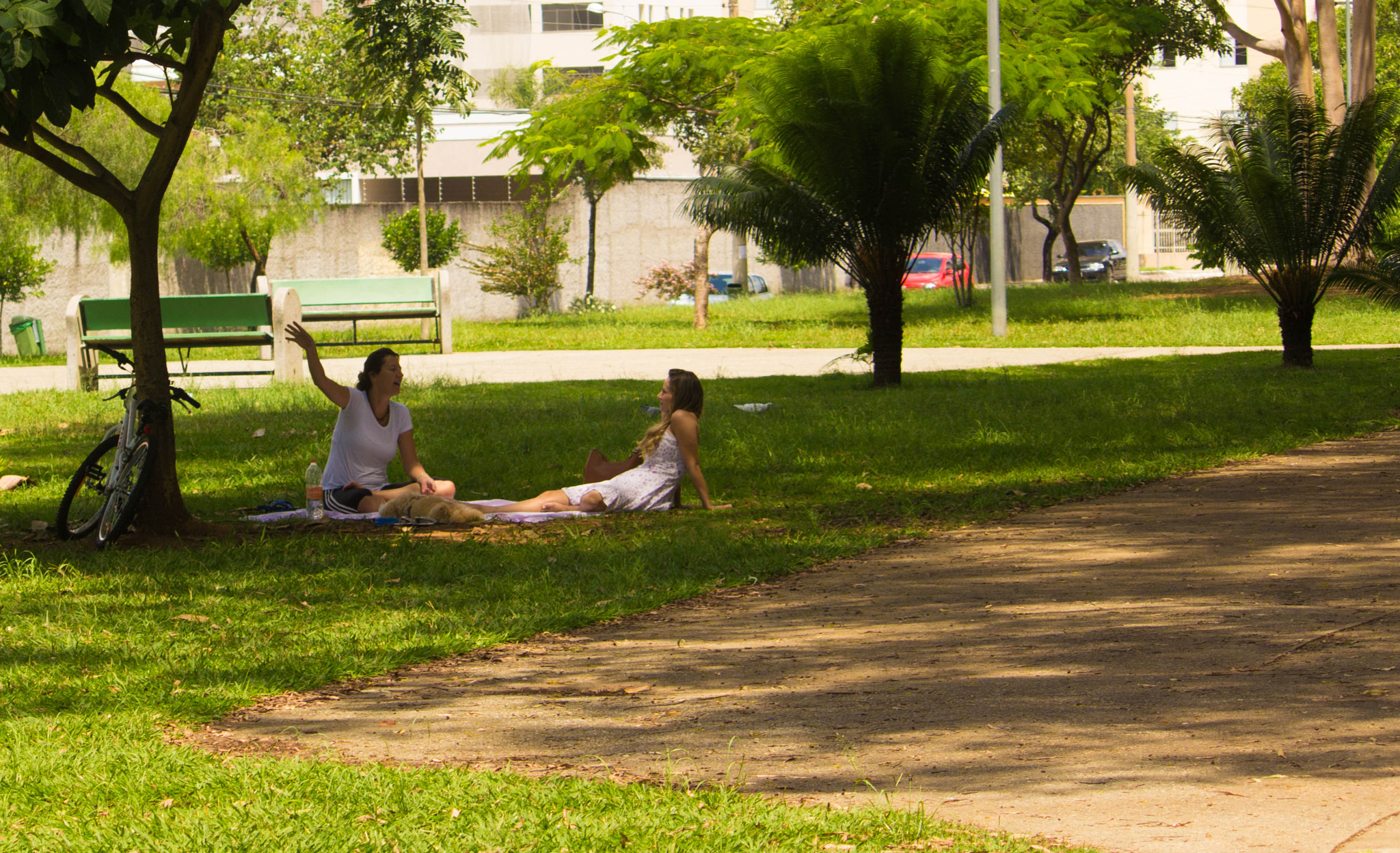 Canon EF-S 55-250mm F4-5.6 IS II sample photo. Parque são josé dos campos-1 photography