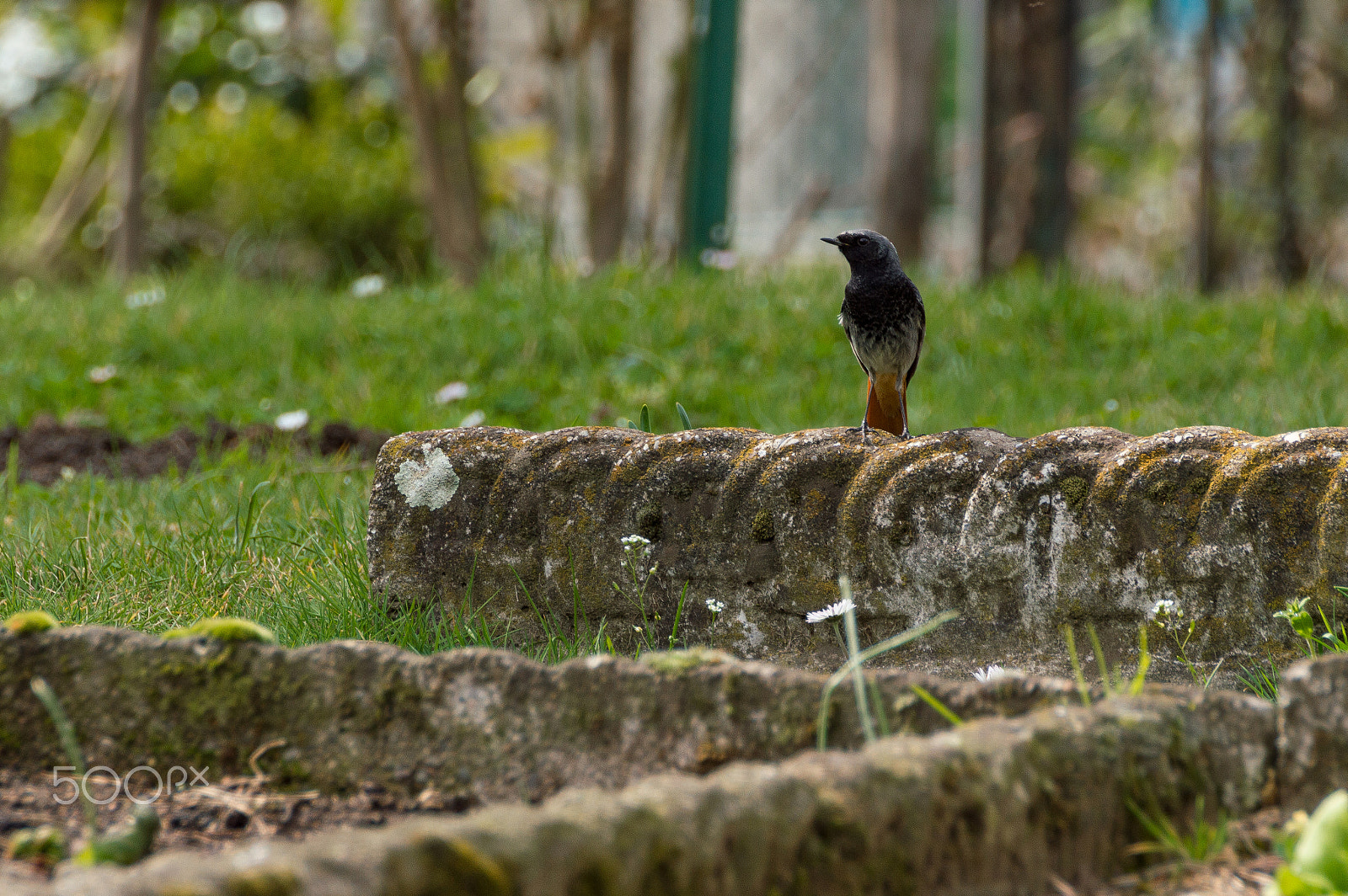 Nikon D3200 sample photo. The sentinel photography