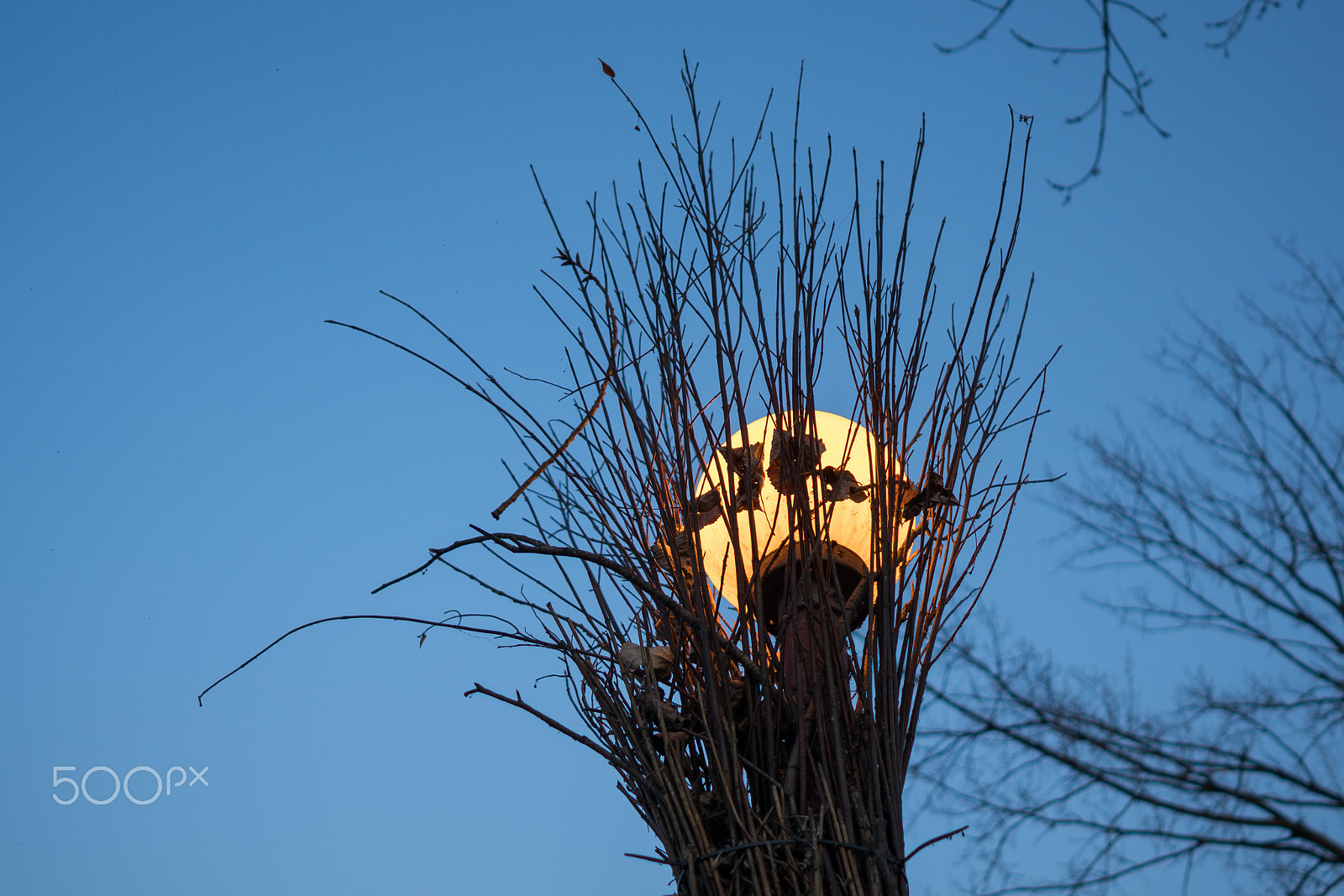 ZEISS Batis 25mm F2 sample photo. Someday photography