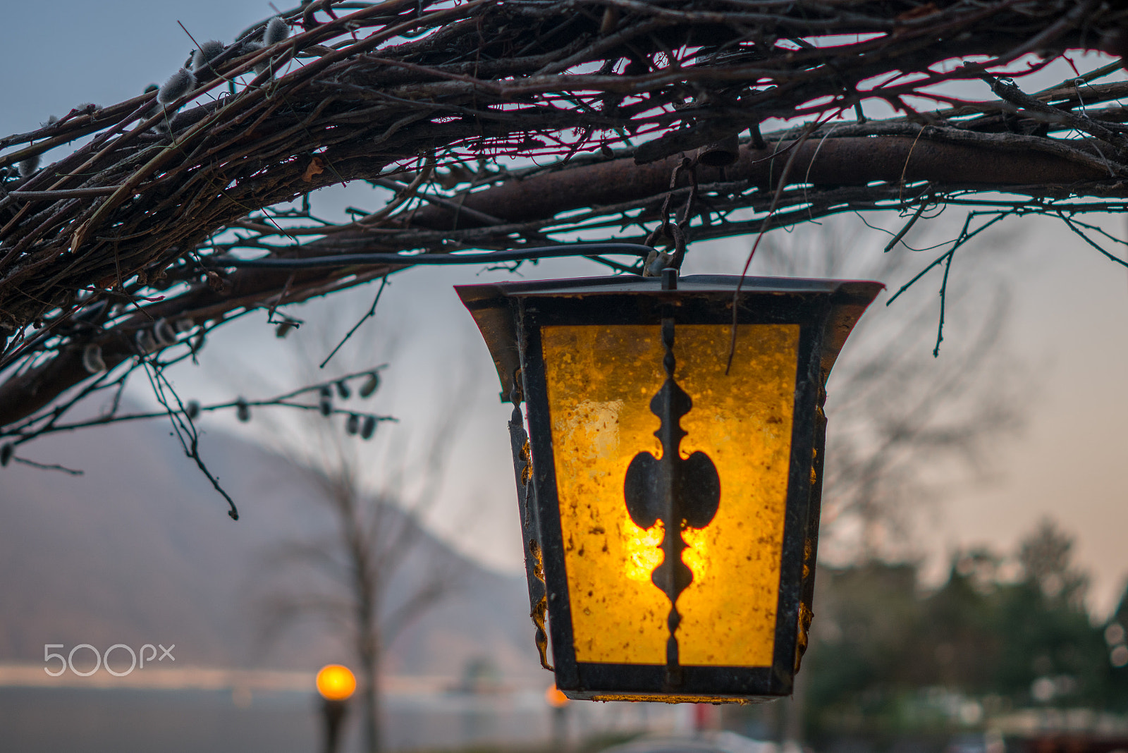 ZEISS Batis 25mm F2 sample photo. Someday photography