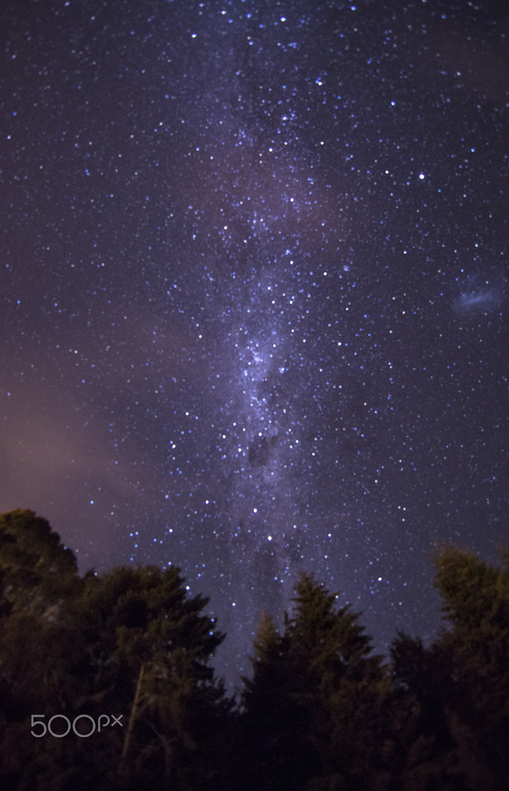 Canon EF 14mm F2.8L II USM sample photo. Te anau, new zealand photography