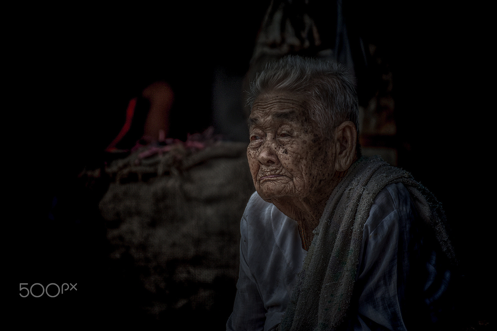 Nikon D5500 sample photo. Tan photography
