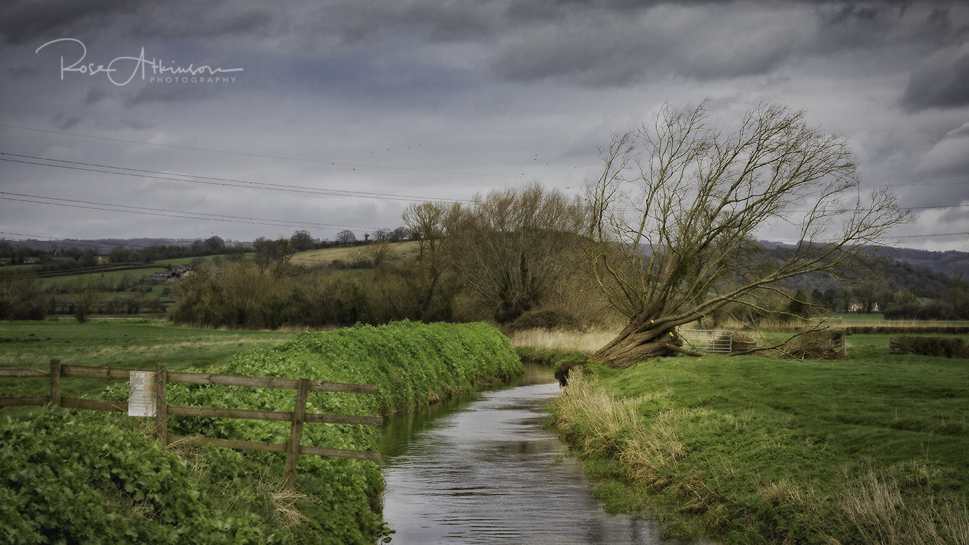 Canon EF 70-300mm F4-5.6L IS USM sample photo. Drain photography