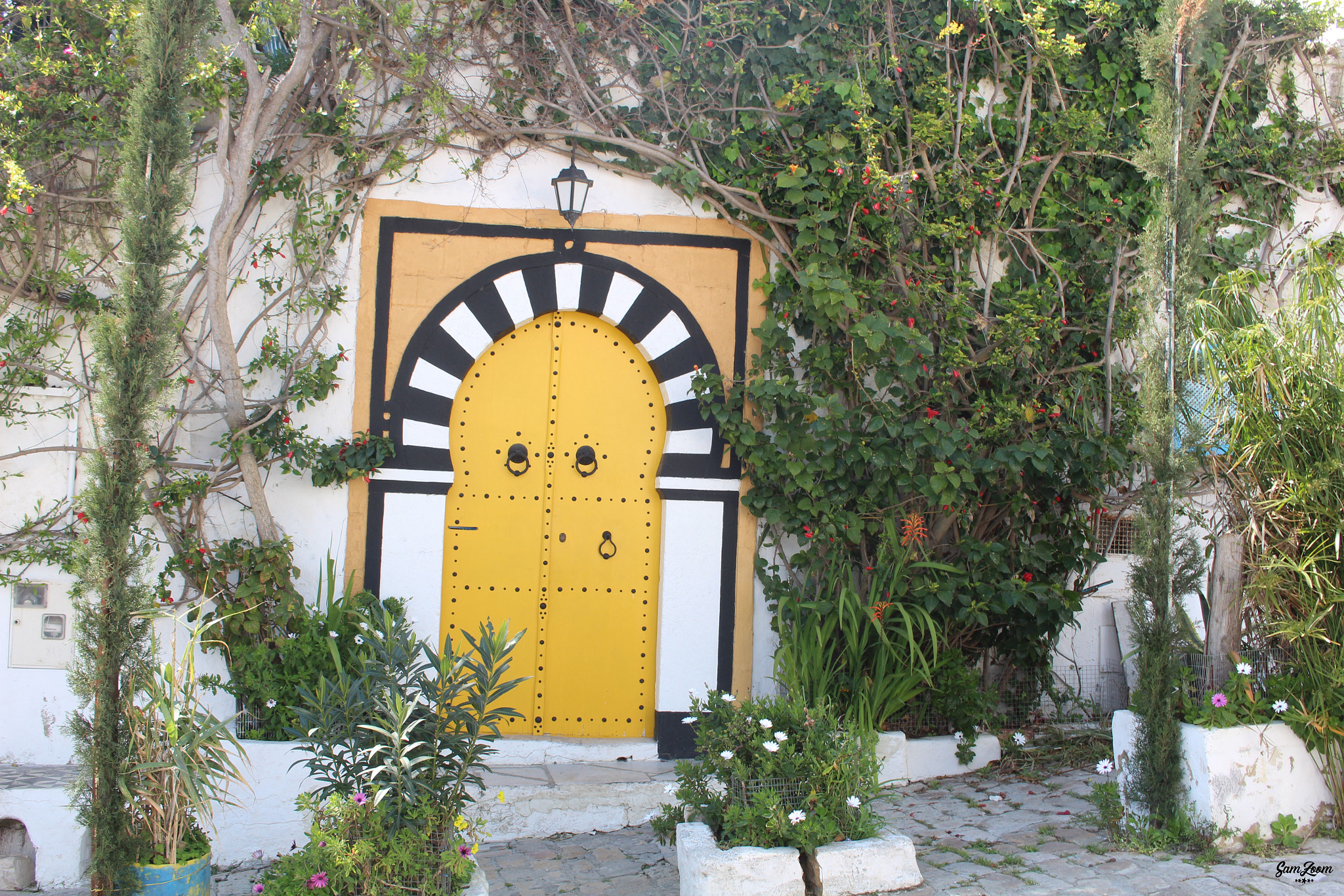 Canon EOS 1200D (EOS Rebel T5 / EOS Kiss X70 / EOS Hi) sample photo. Sidi bou said photography