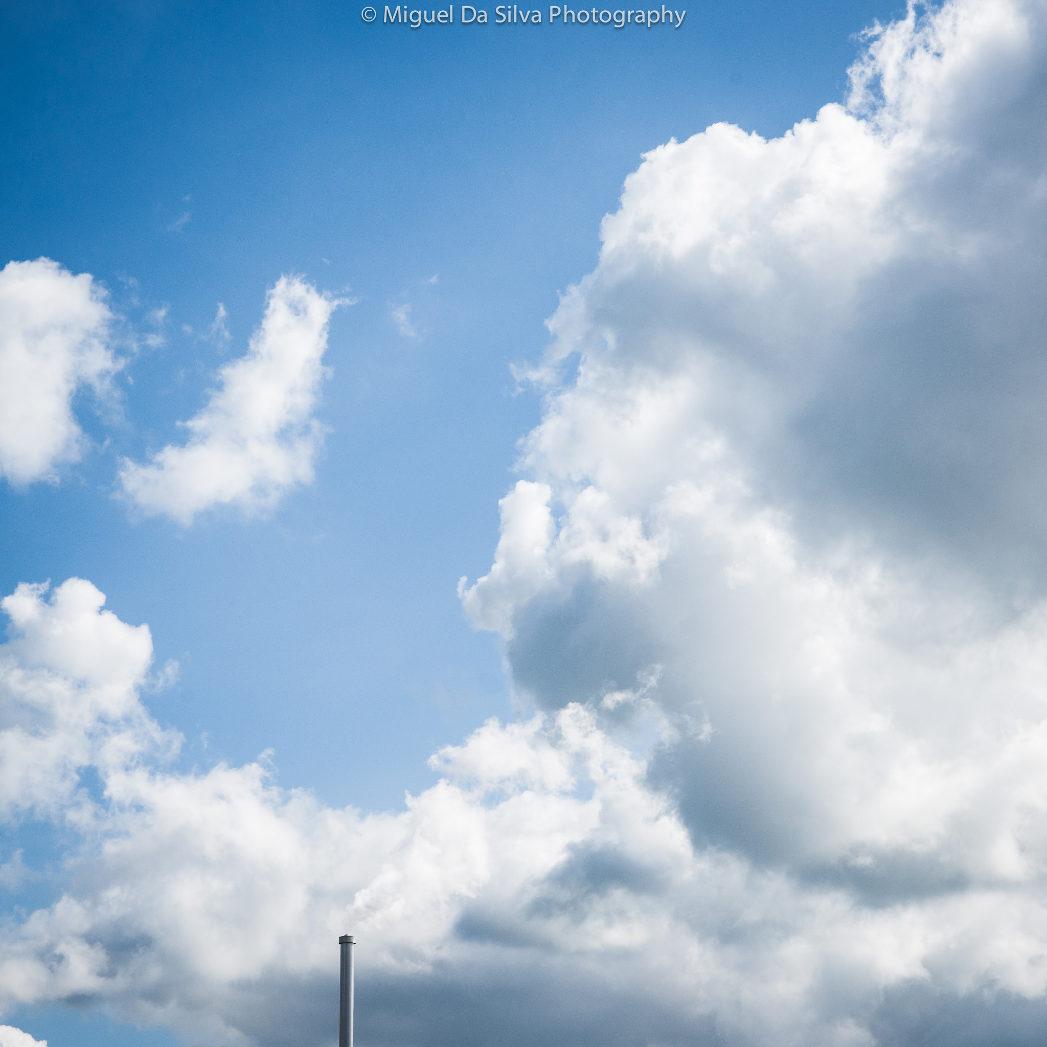 Sony Alpha DSLR-A900 sample photo. Smoking to the air photography