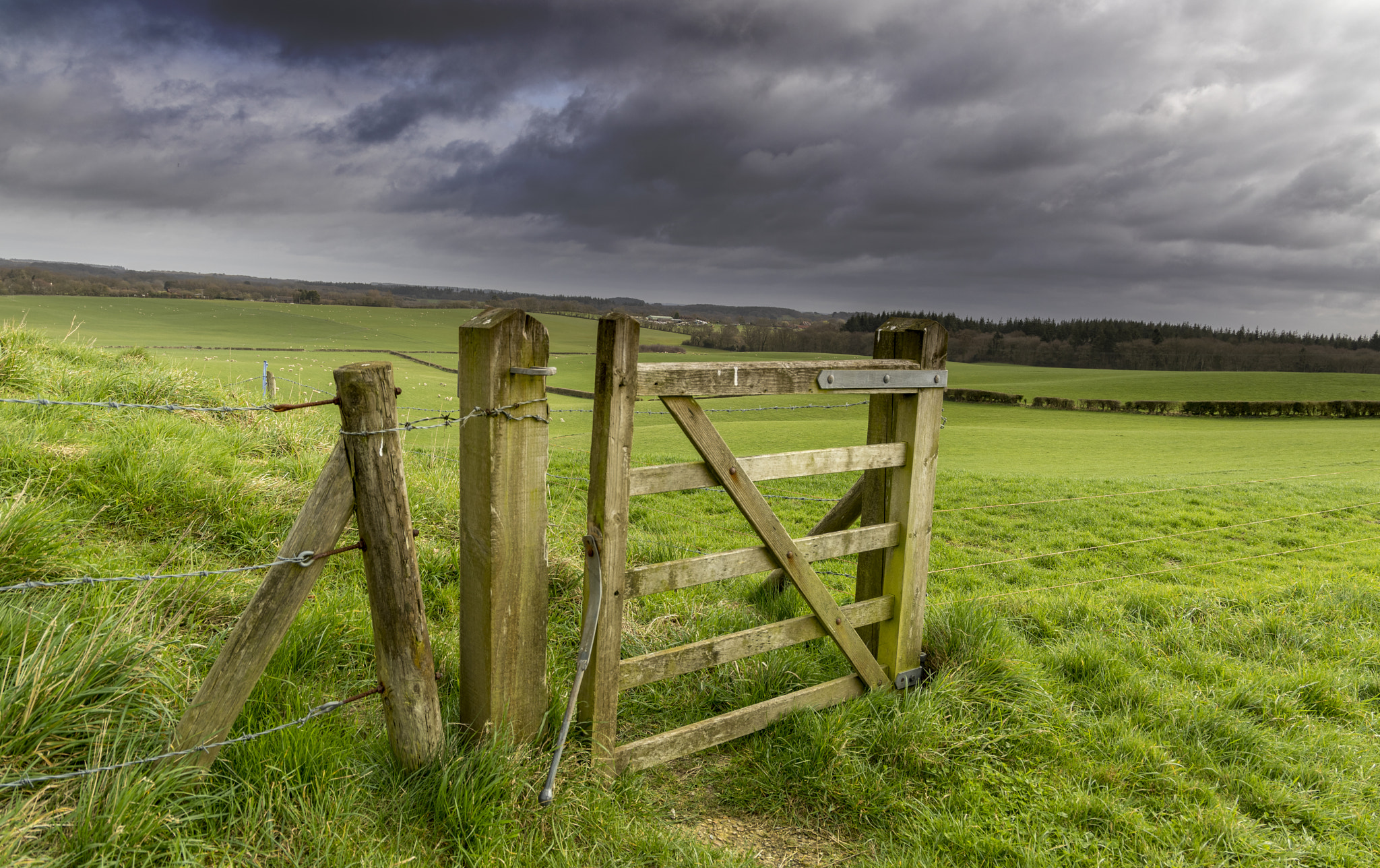 Canon EF 24-105mm F3.5-5.6 IS STM sample photo. Where the grass is greener photography