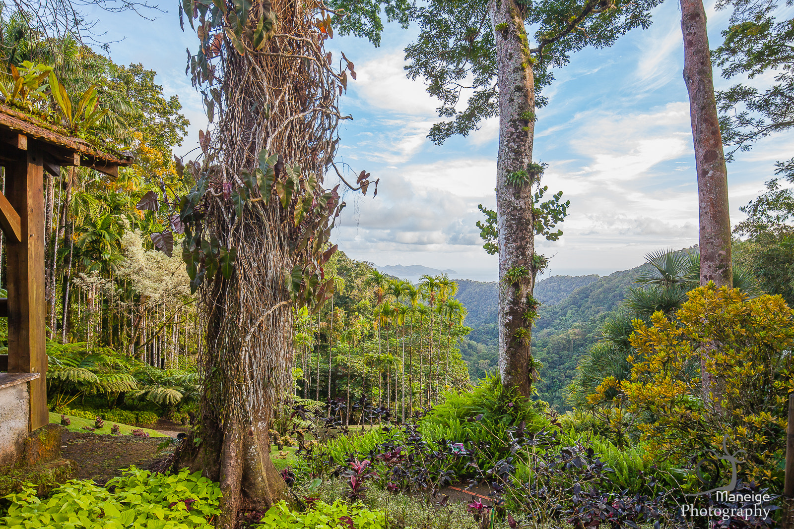 Canon EOS 5D Mark II sample photo. Caribbean adventure photography