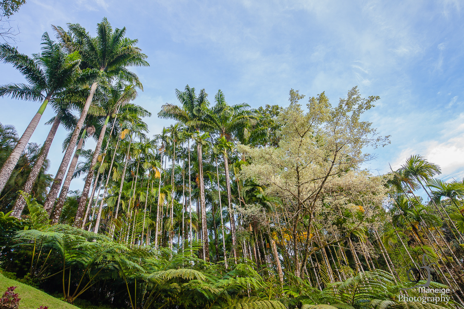 Canon EOS 5D Mark II sample photo. Caribbean adventure photography