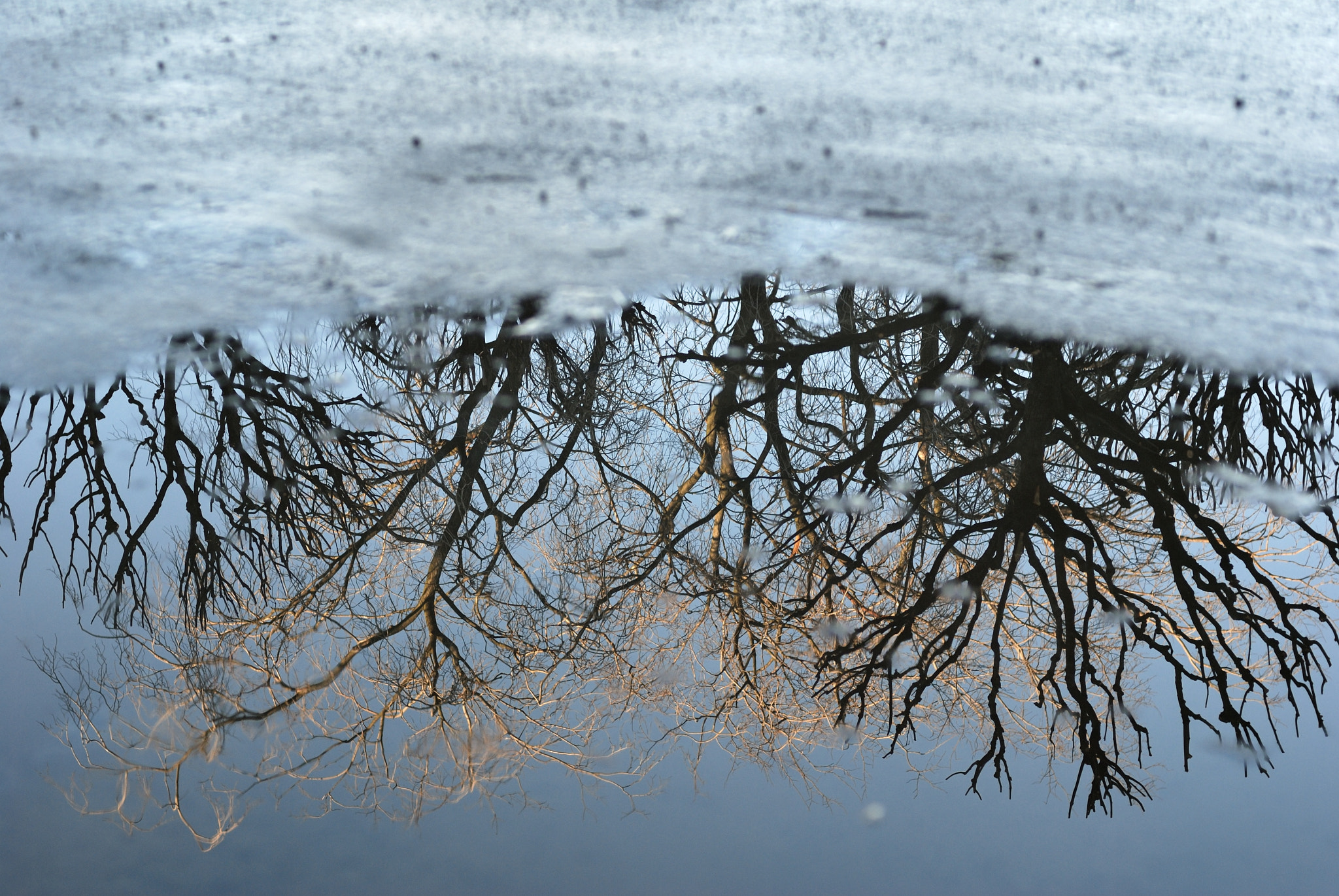 Nikon D80 sample photo. After the rain photography