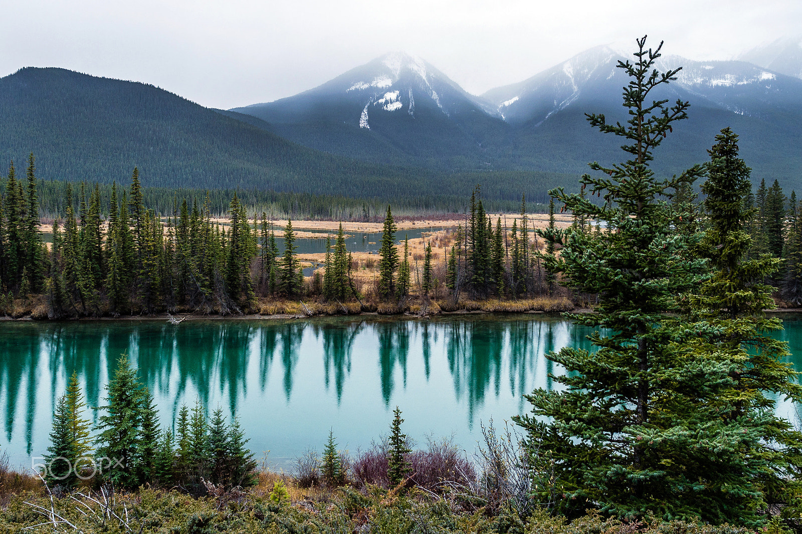 Olympus OM-D E-M5 sample photo. Banff (2016) | 465-em552293.jpg photography